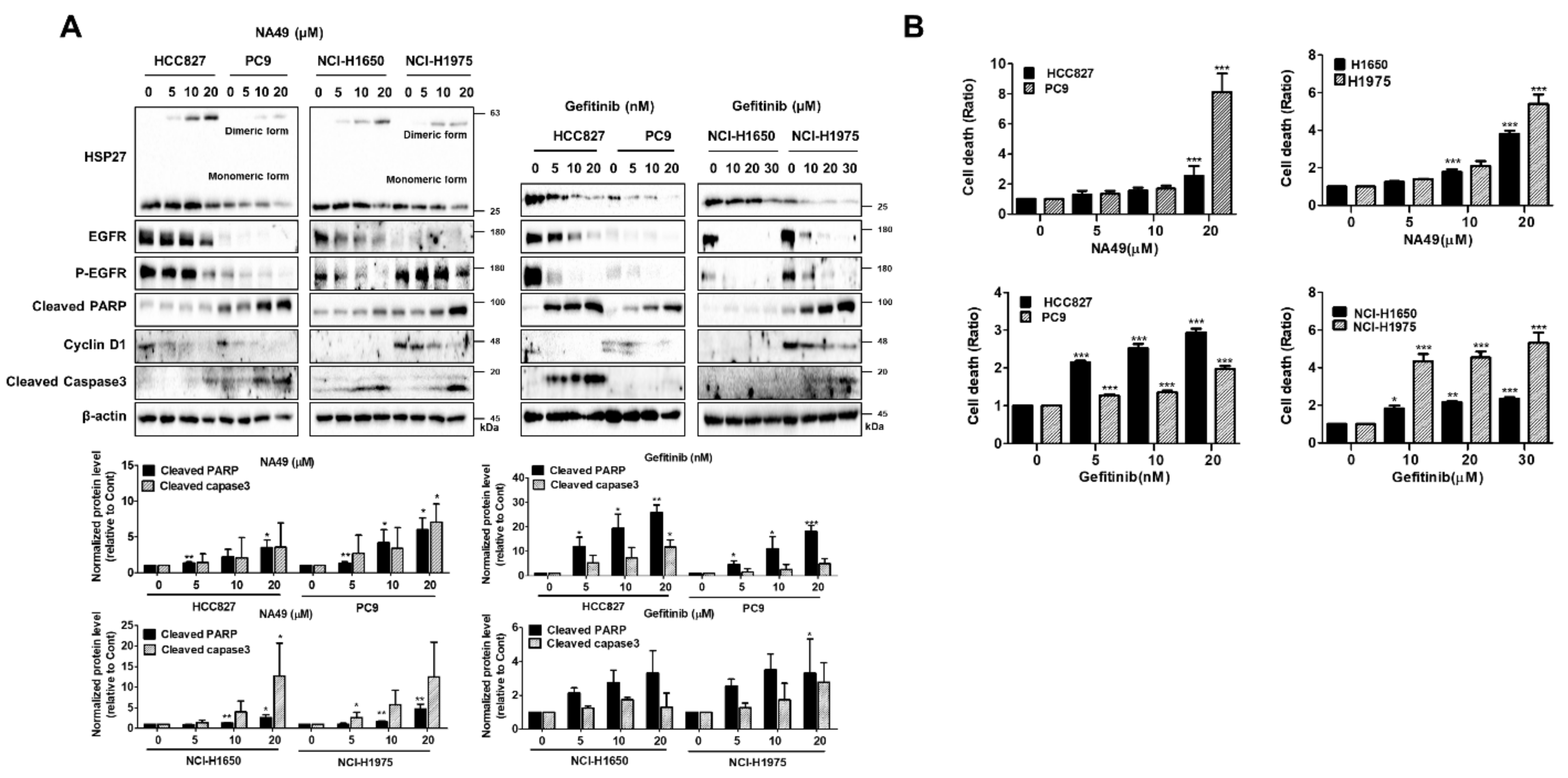 Pharmaceutics 13 00630 g004