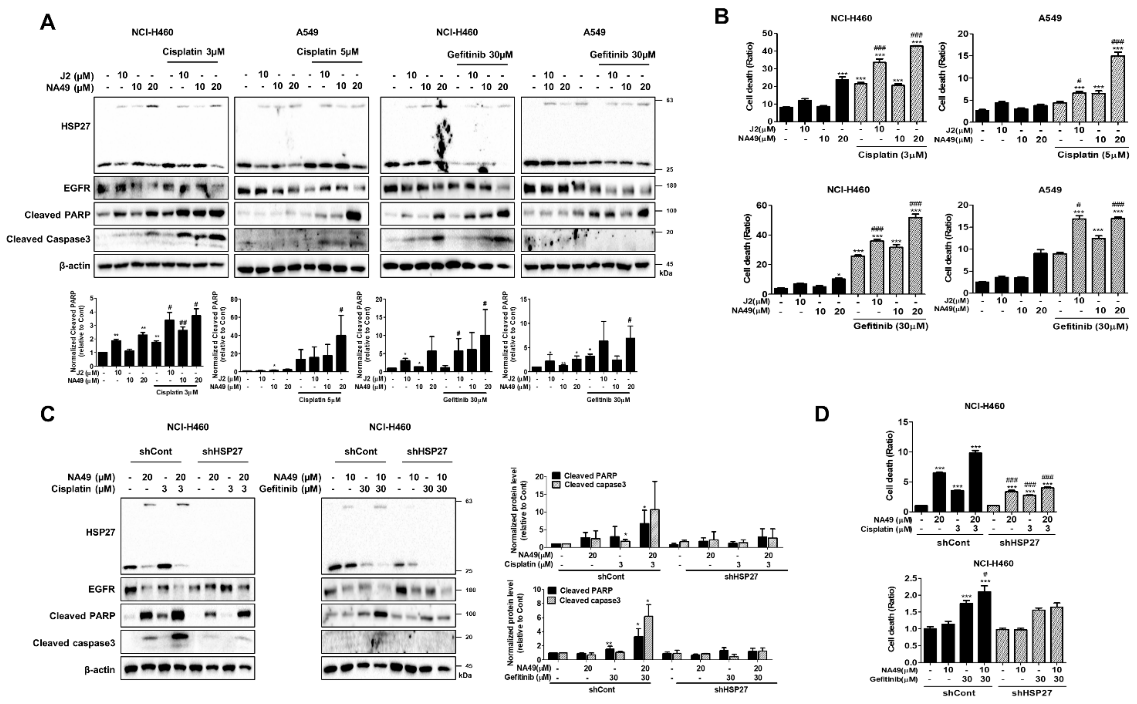 Pharmaceutics 13 00630 g005