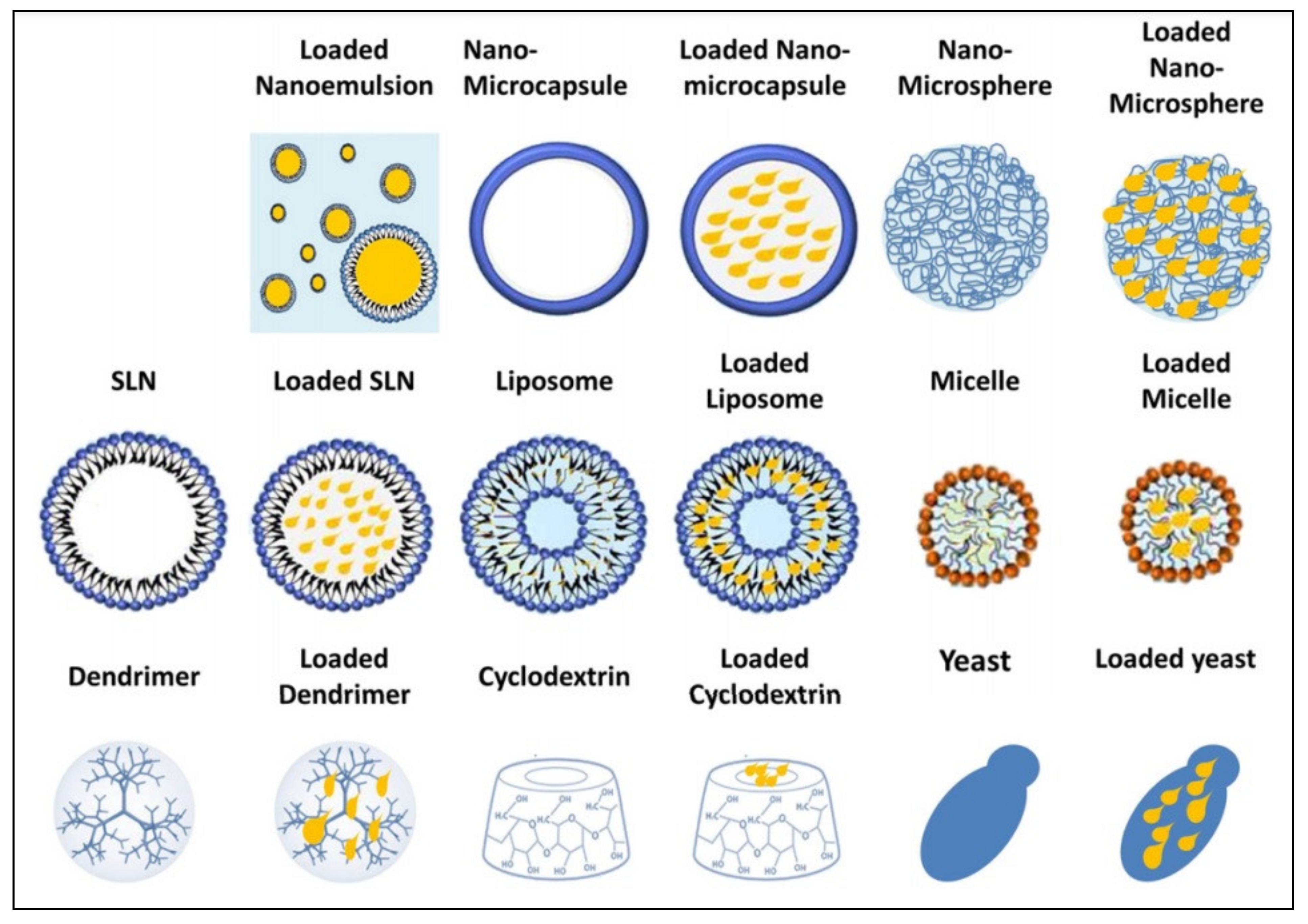 Pharmaceutics 13 00631 g002 Pharmaceutics 13 00631 g002