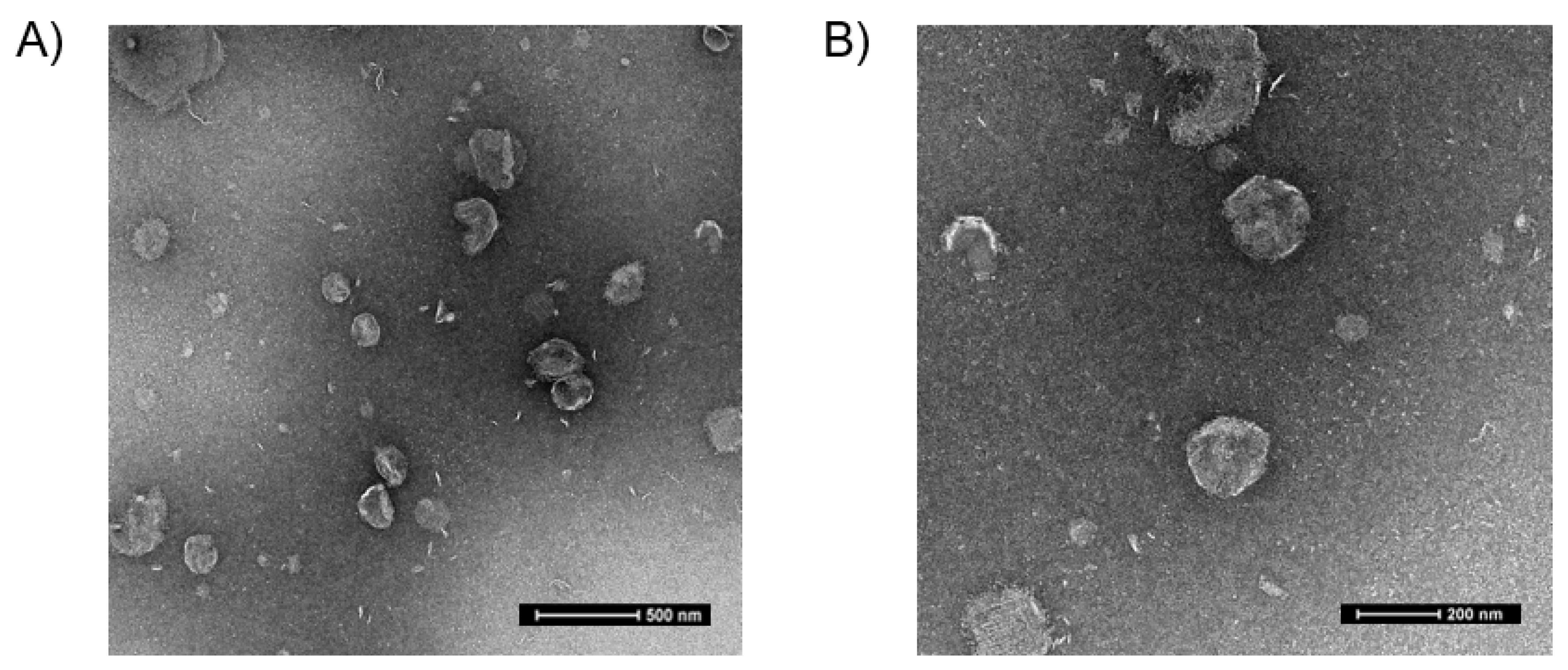 Pharmaceutics 13 00636 g002