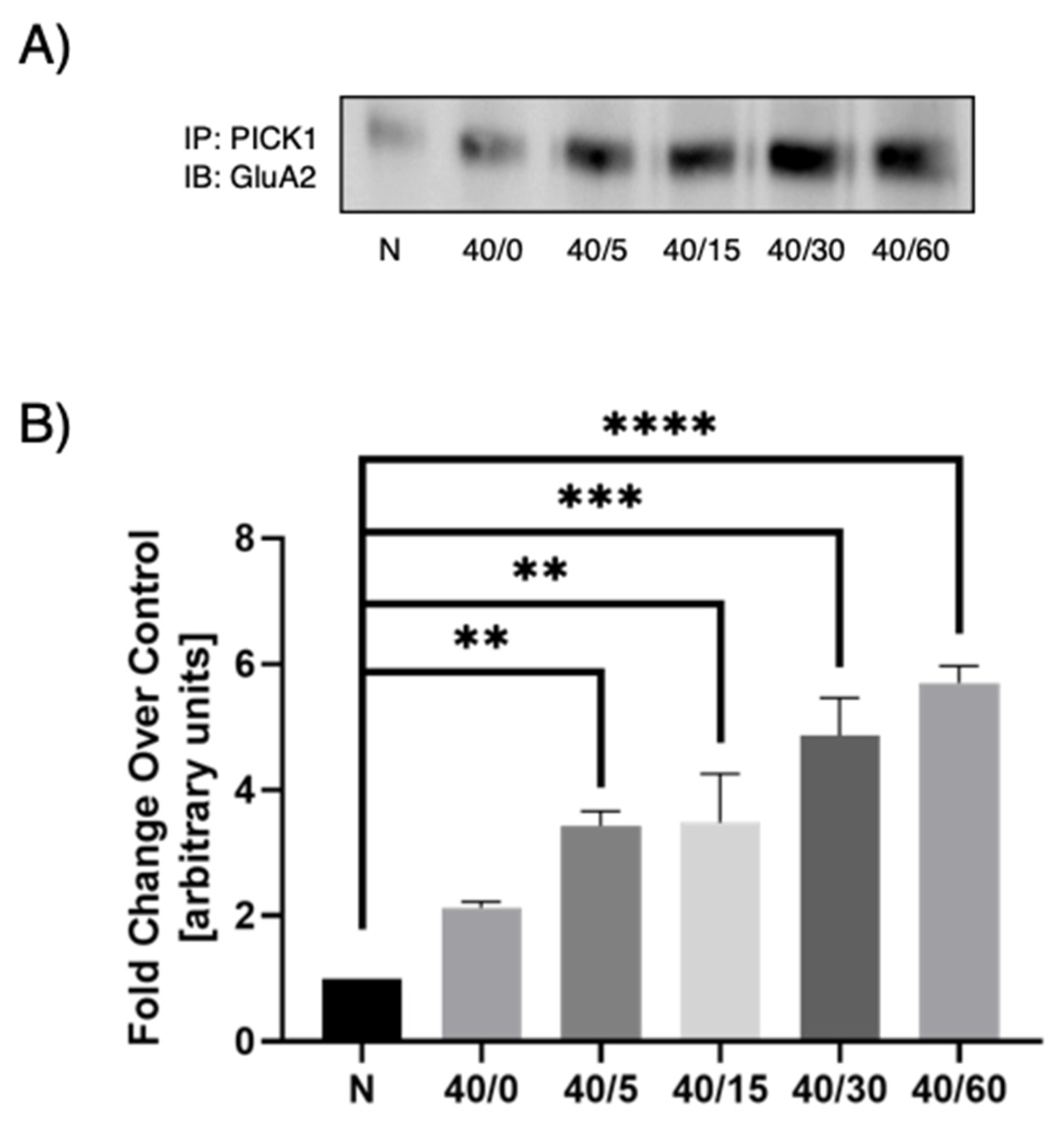 Pharmaceutics 13 00636 g004