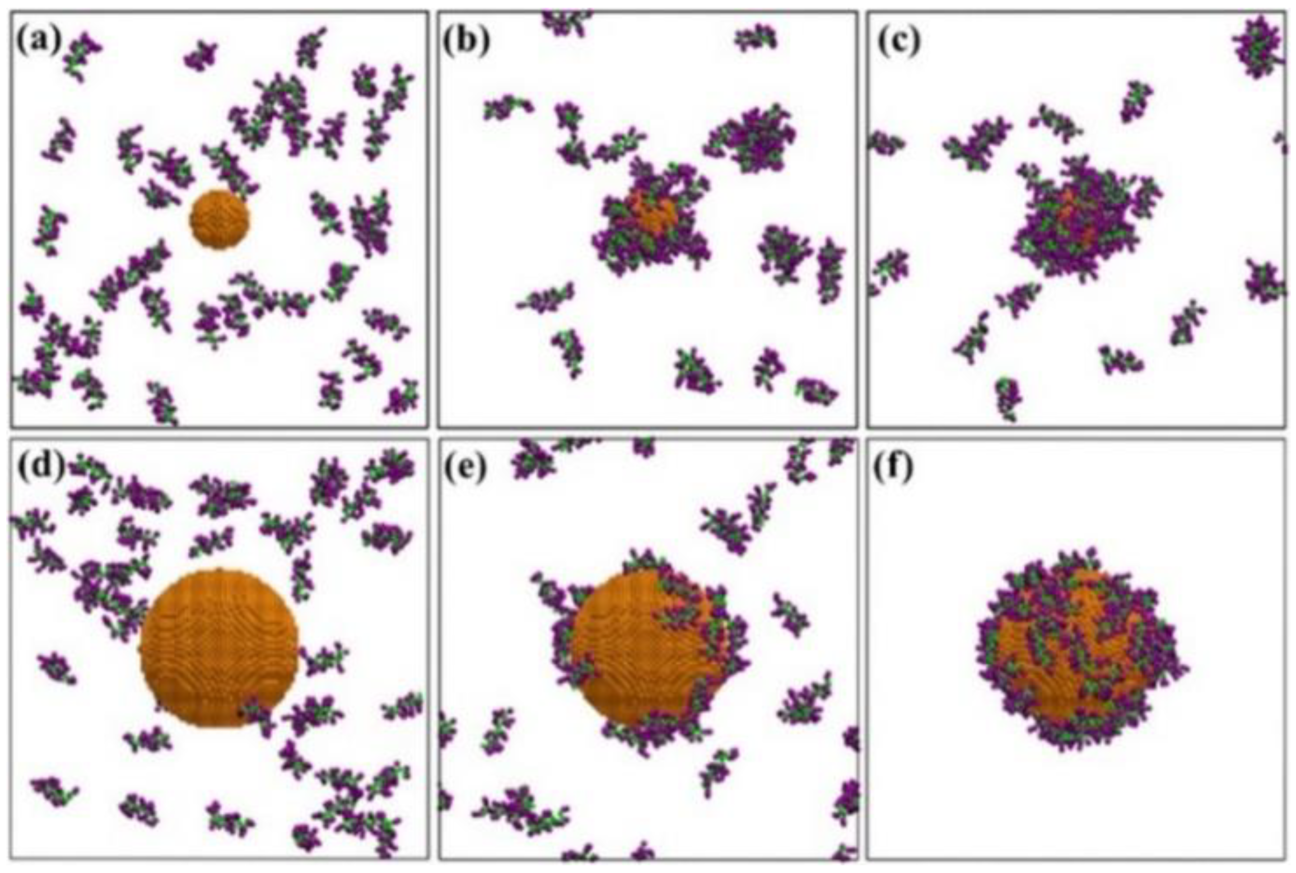 Pharmaceutics 13 00637 g003 Pharmaceutics 13 00637 g003