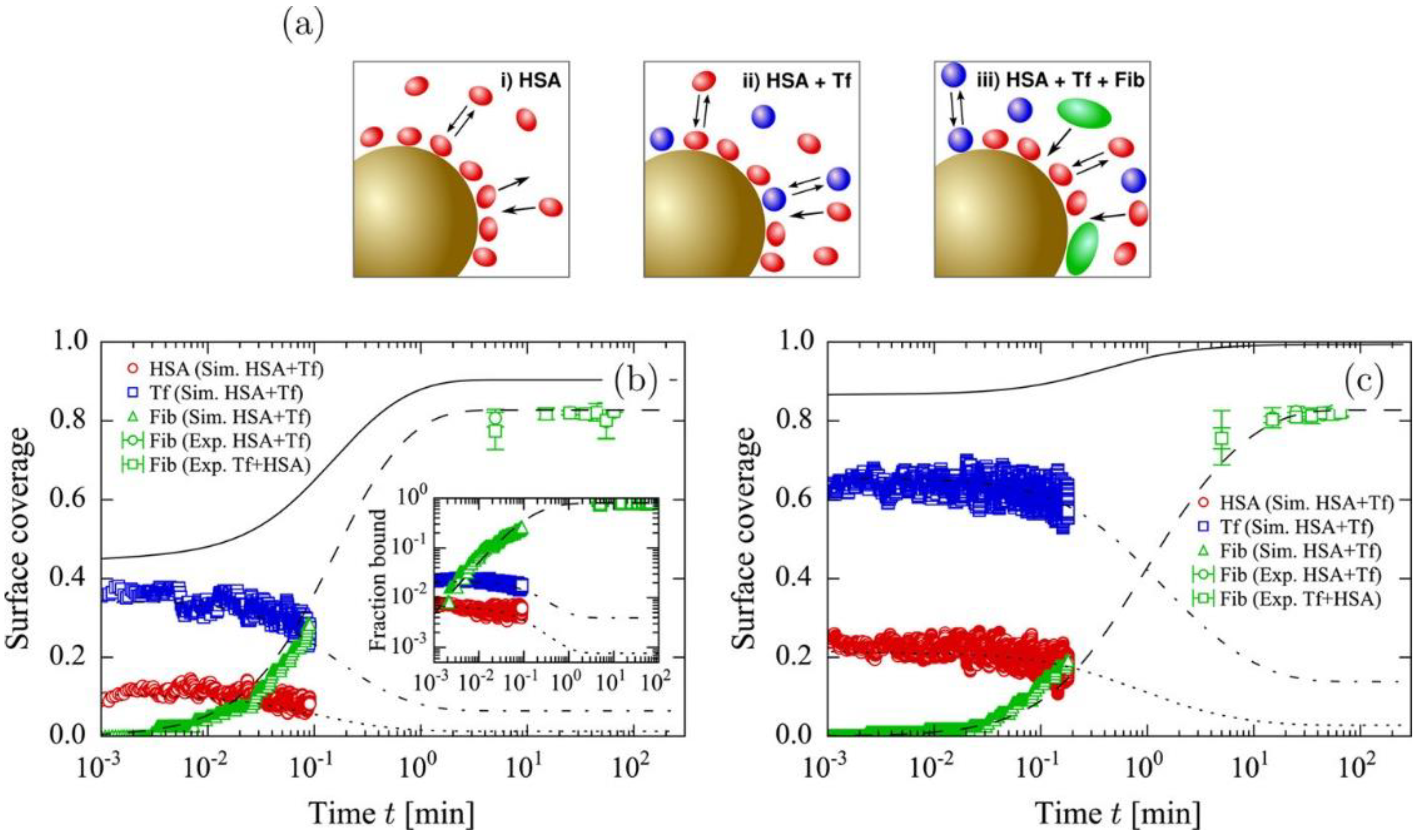 Pharmaceutics 13 00637 g008 Pharmaceutics 13 00637 g008