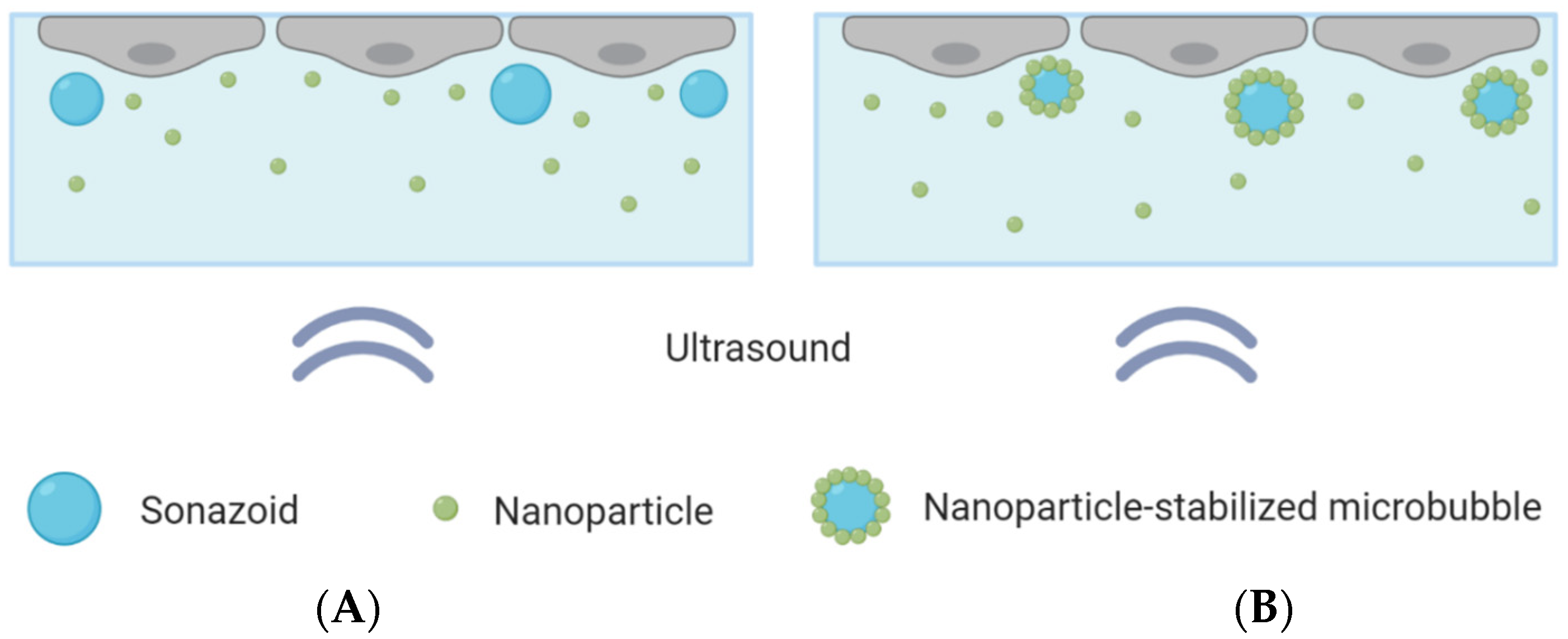 Pharmaceutics 13 00640 g001