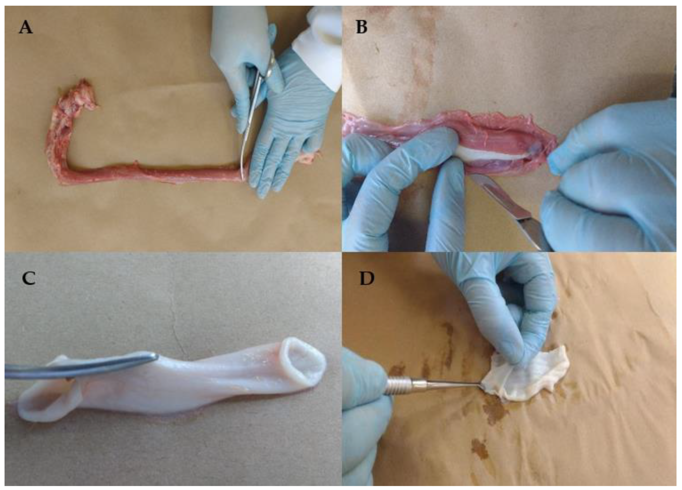 Pharmaceutics 13 00643 g001 Pharmaceutics 13 00643 g001