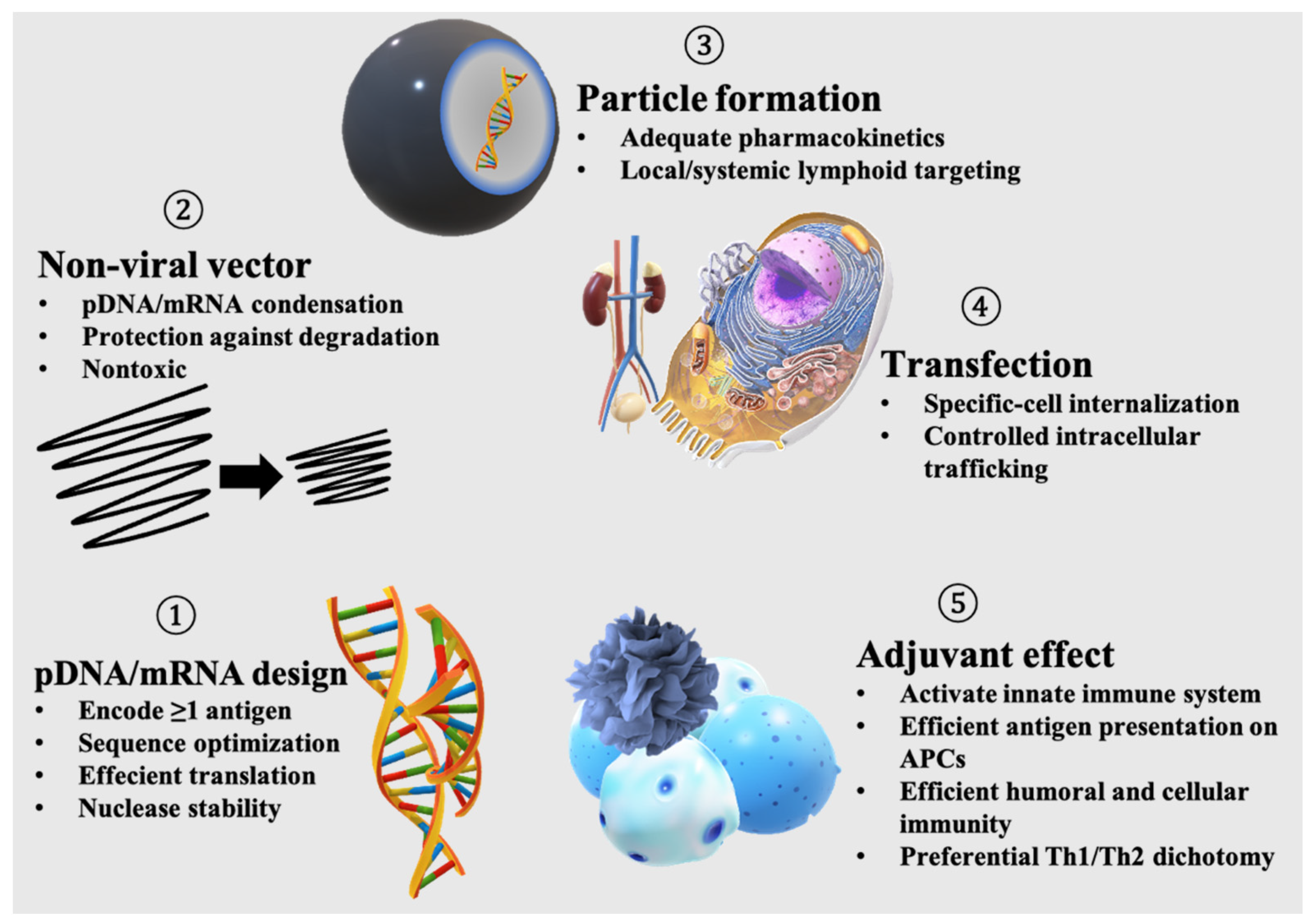 Pharmaceutics 13 00644 g001 Pharmaceutics 13 00644 g001