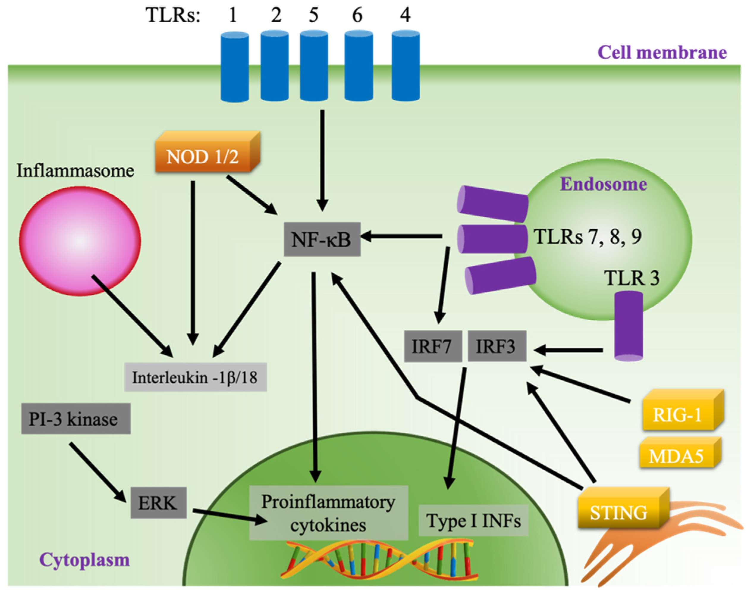 Pharmaceutics 13 00644 g002 Pharmaceutics 13 00644 g002