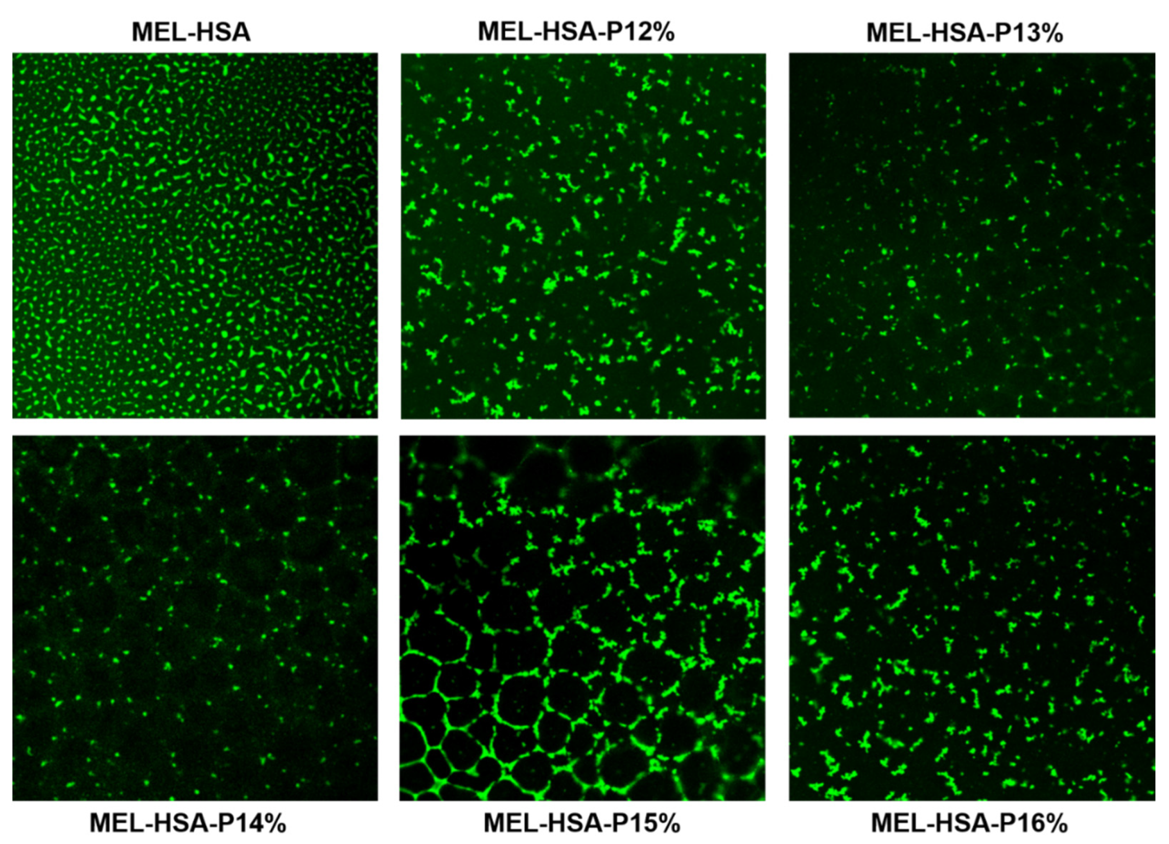 Pharmaceutics 13 00646 g005 Pharmaceutics 13 00646 g005