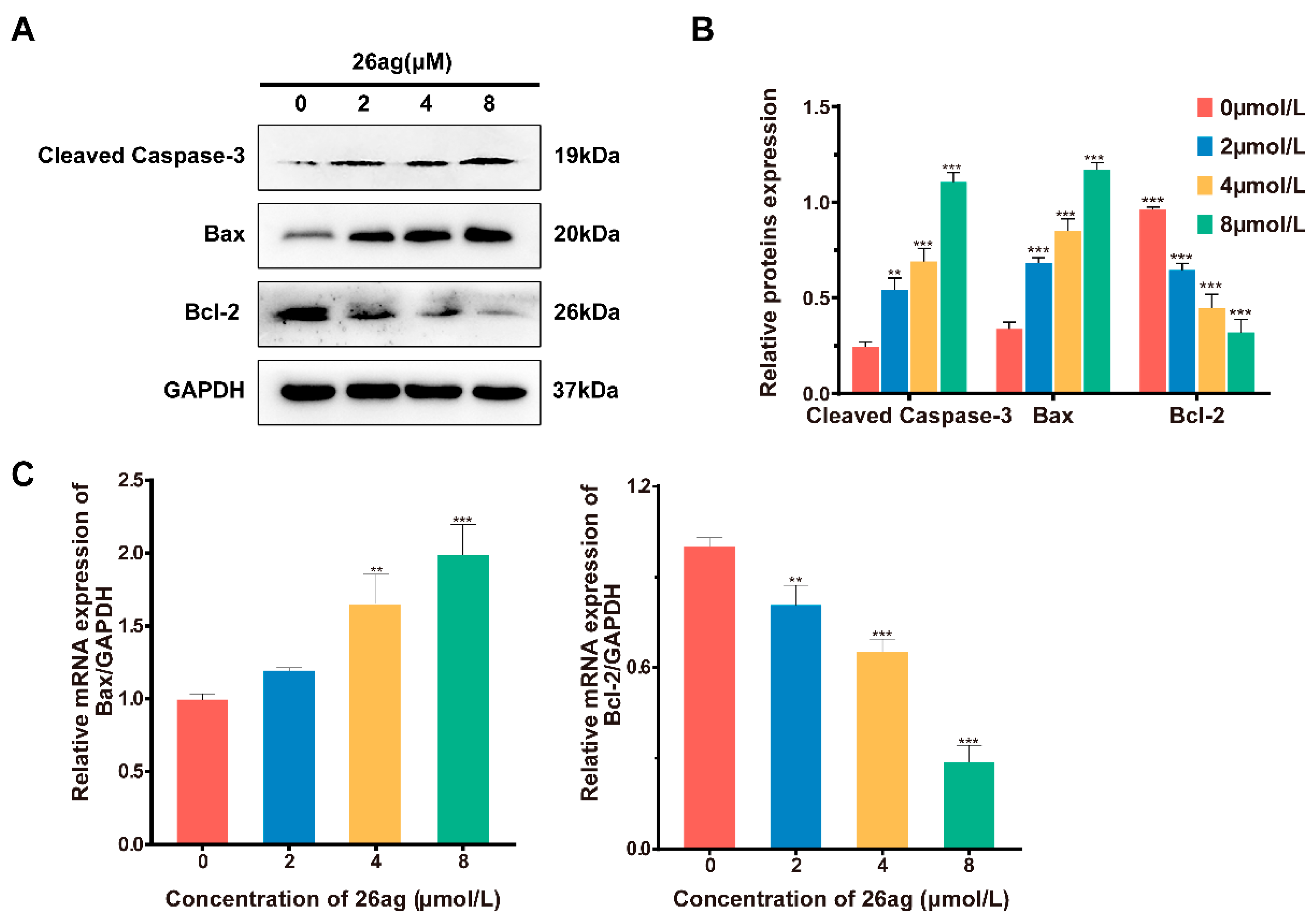 Pharmaceutics 13 00651 g004 Pharmaceutics 13 00651 g004