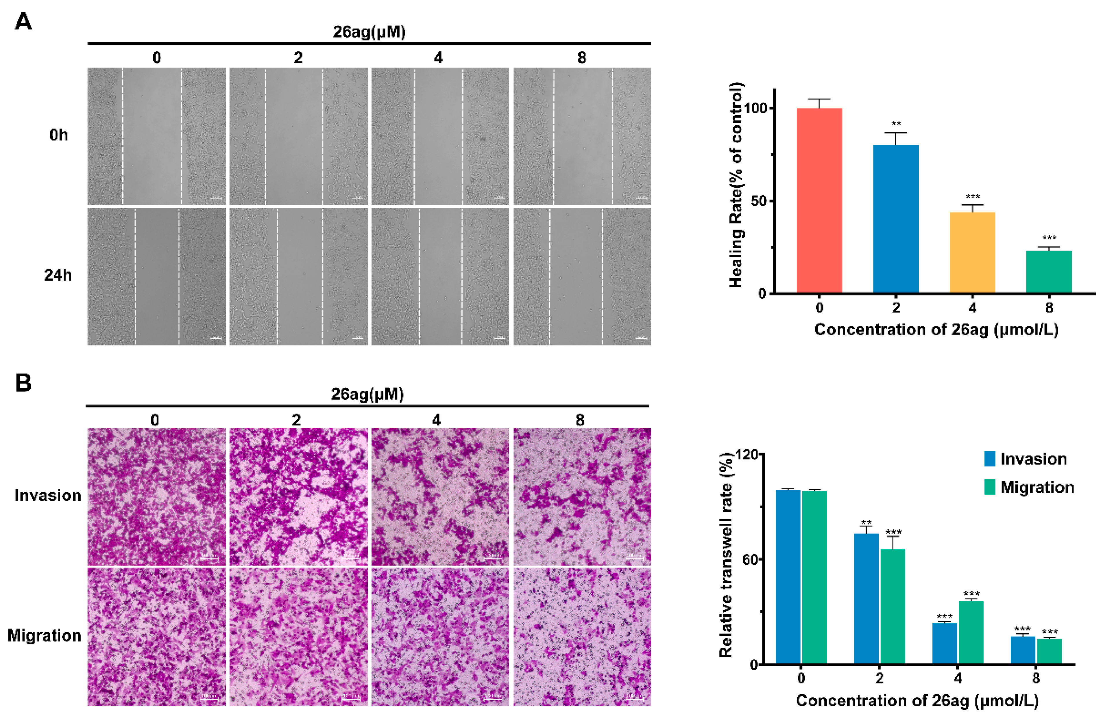 Pharmaceutics 13 00651 g005 Pharmaceutics 13 00651 g005