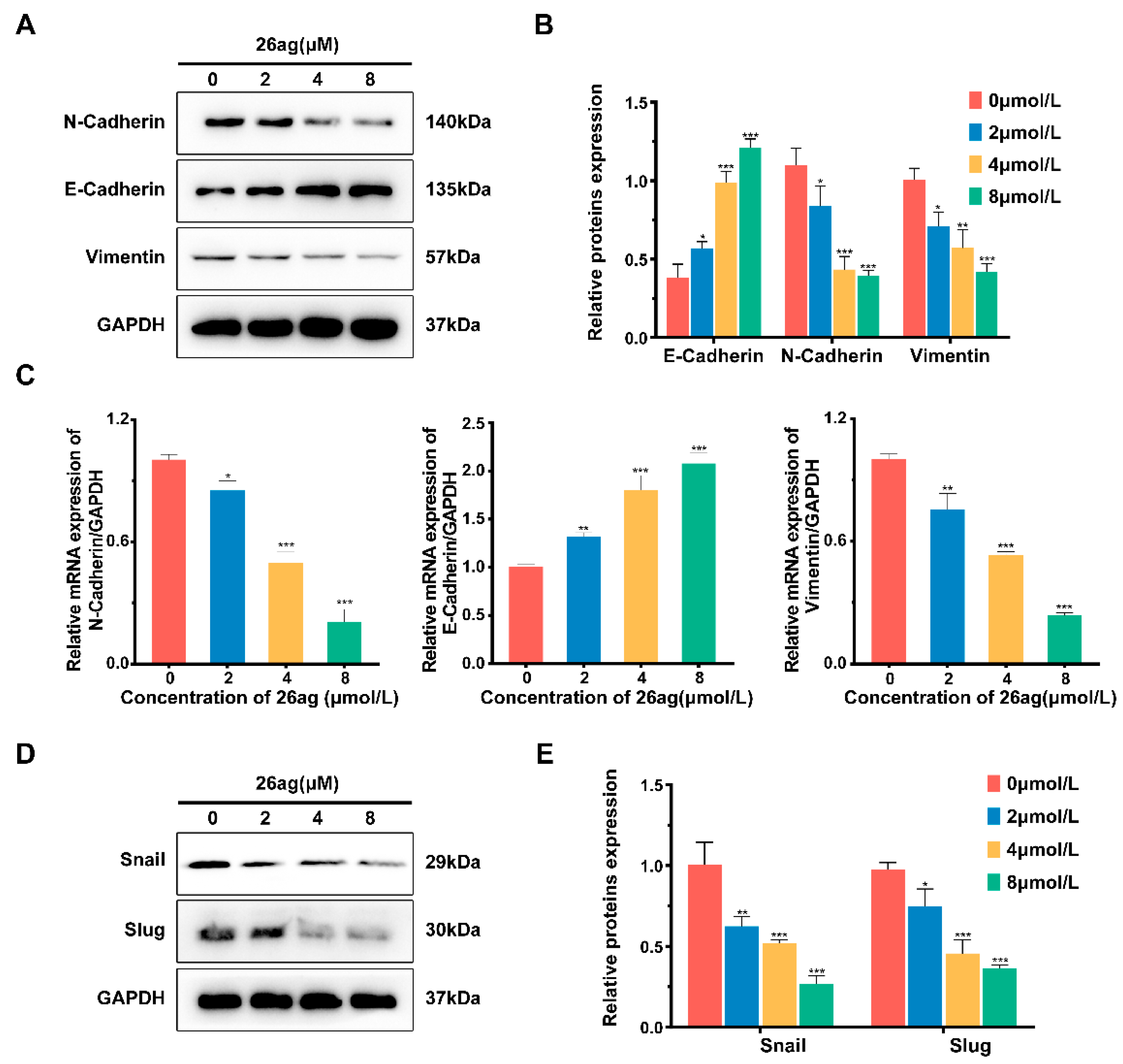 Pharmaceutics 13 00651 g006 Pharmaceutics 13 00651 g006