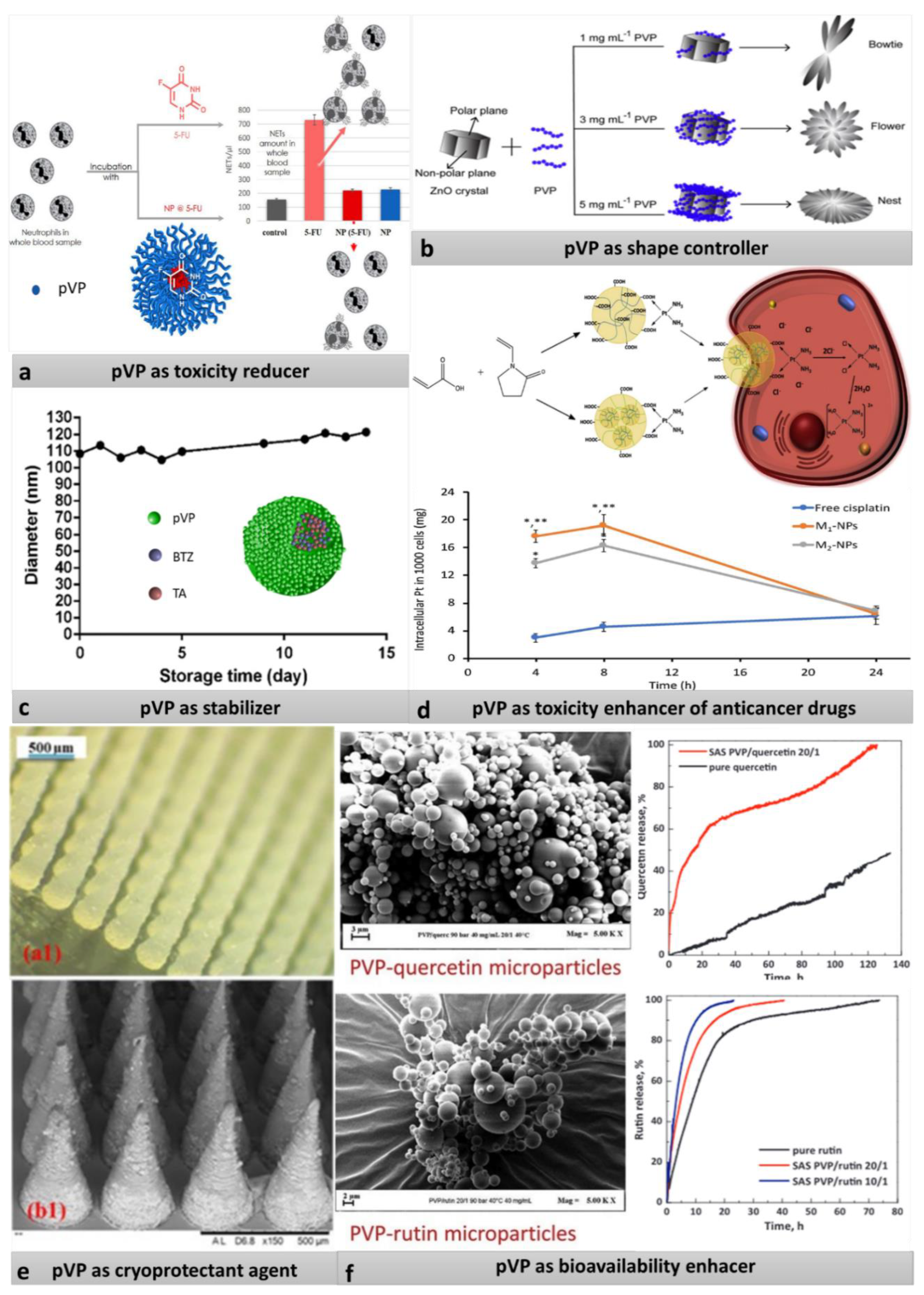 Pharmaceutics 13 00654 g002