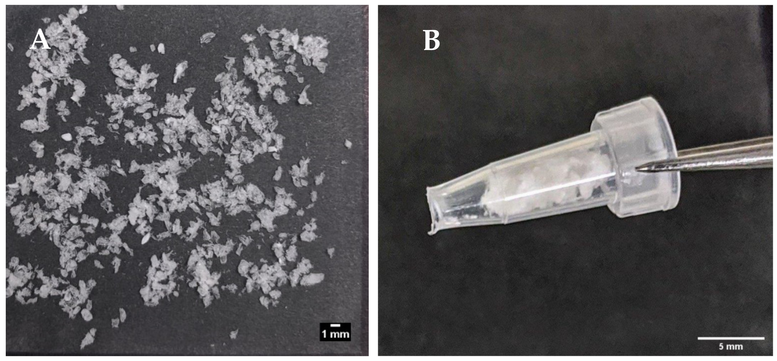 Pharmaceutics 13 00656 g006 Pharmaceutics 13 00656 g006