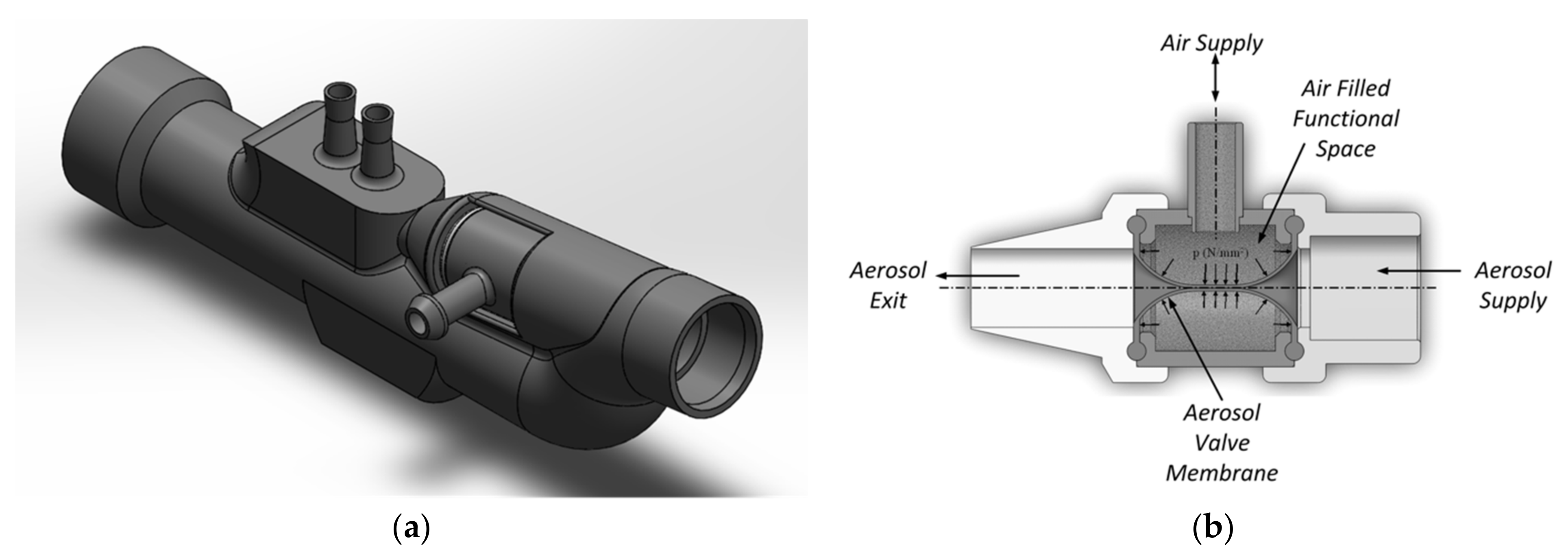 Pharmaceutics 13 00657 g001 Pharmaceutics 13 00657 g001