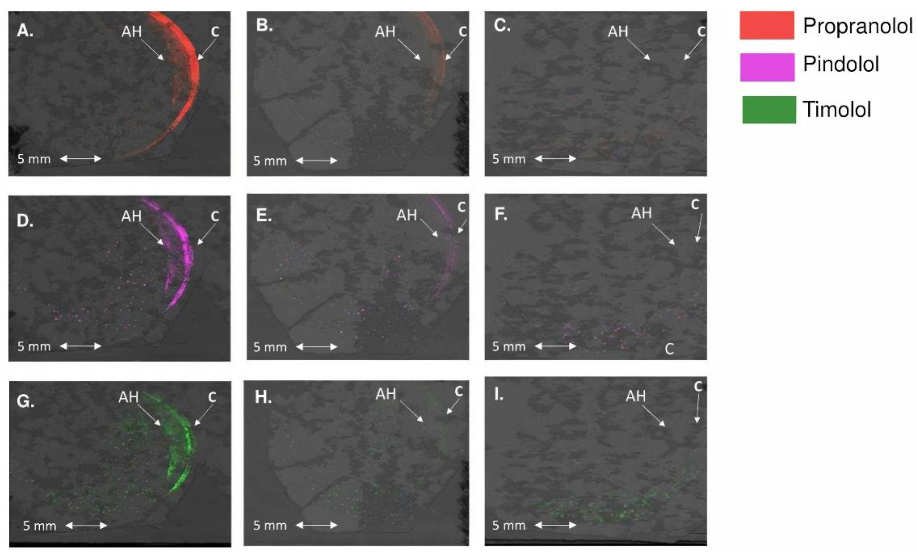 Pharmaceutics 13 00658 g006