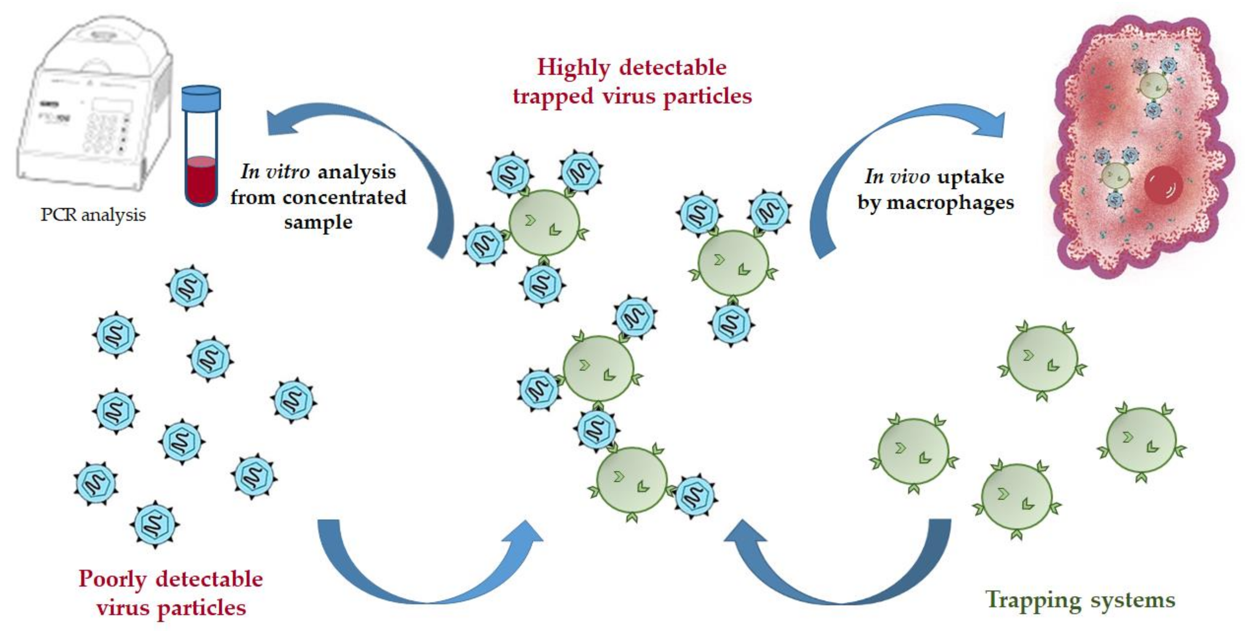 Pharmaceutics 13 00672 g001