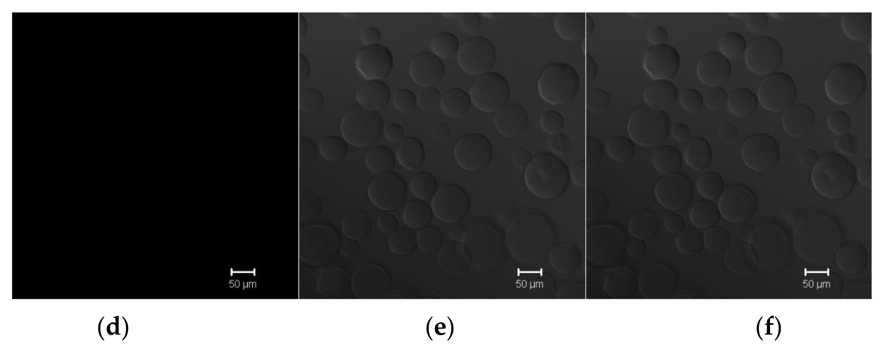 Pharmaceutics 13 00672 g006b