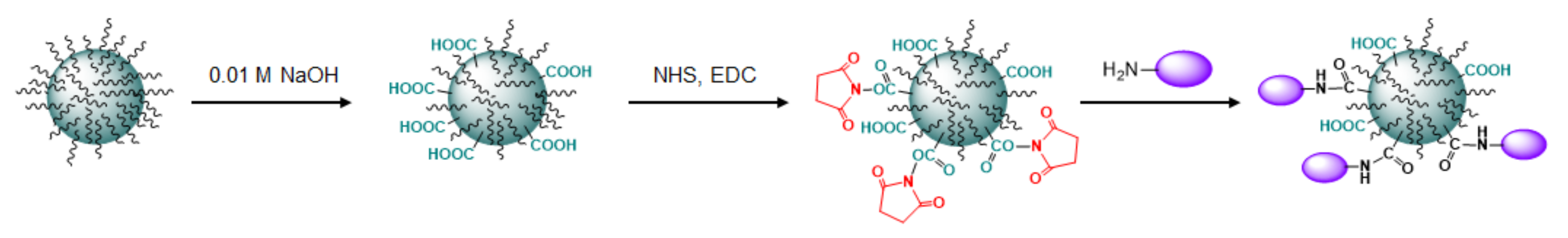 Pharmaceutics 13 00672 g007