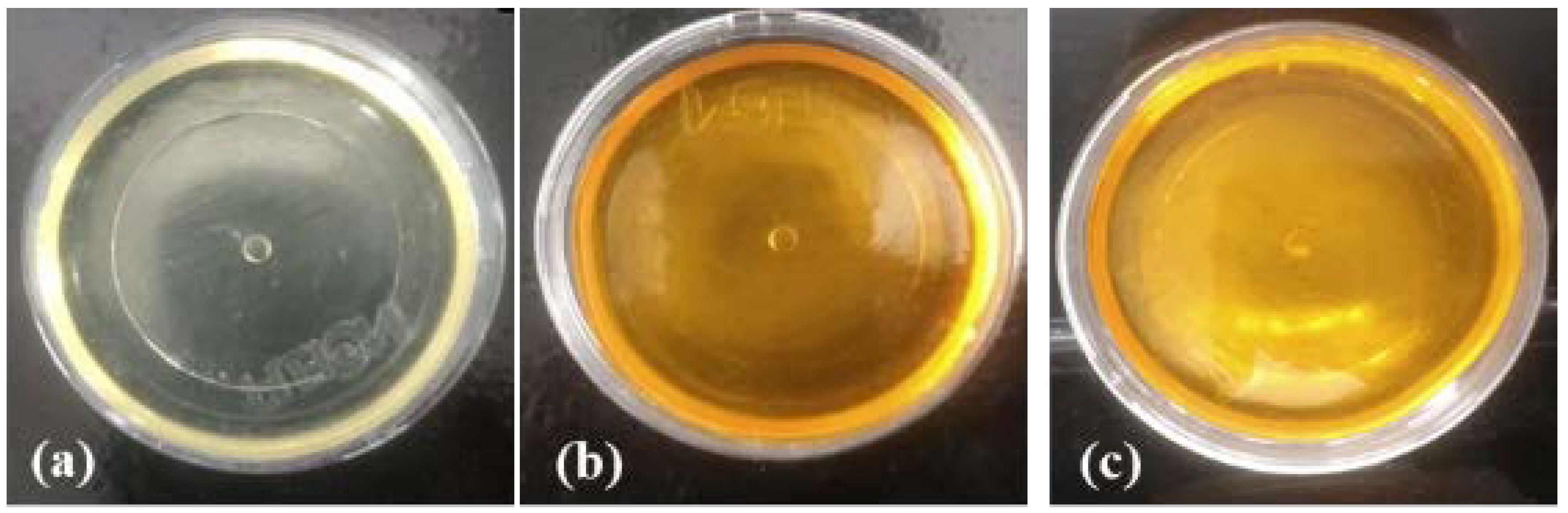 Pharmaceutics 13 00675 g002 Pharmaceutics 13 00675 g002