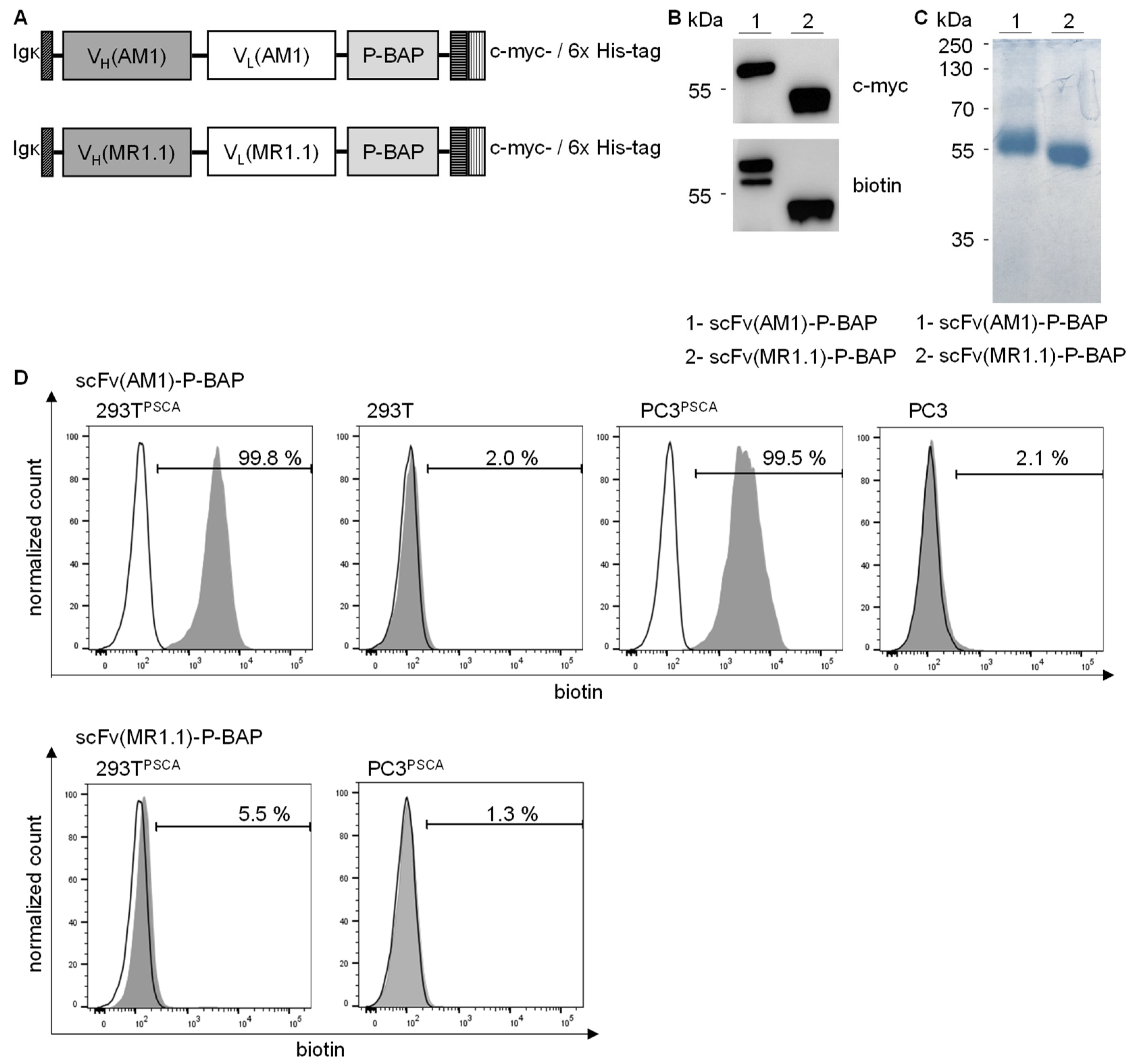 Pharmaceutics 13 00676 g001 Pharmaceutics 13 00676 g001