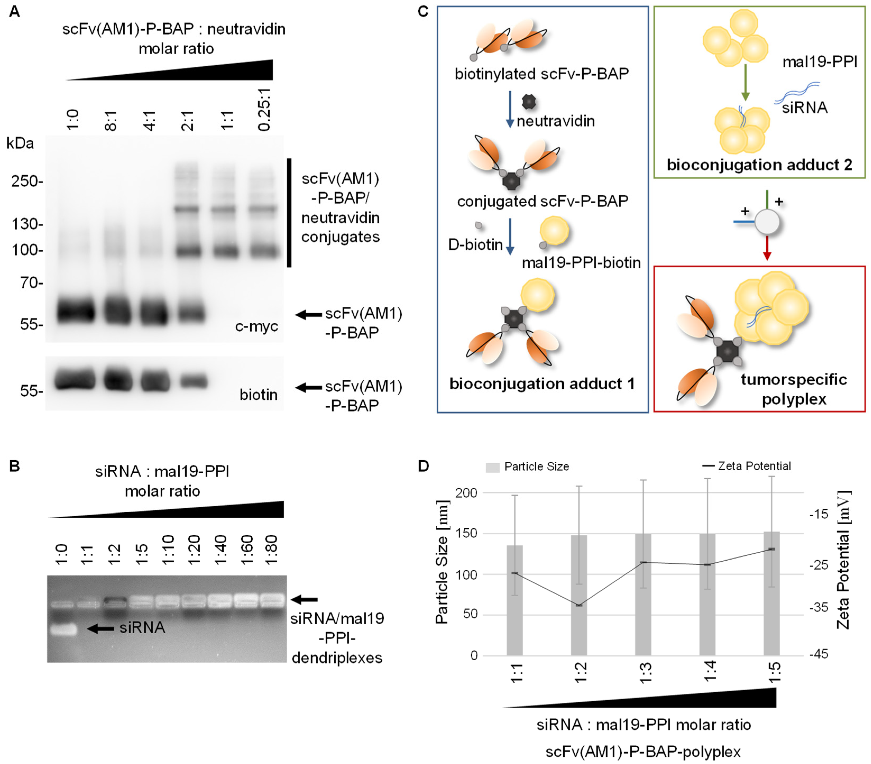 Pharmaceutics 13 00676 g002 Pharmaceutics 13 00676 g002