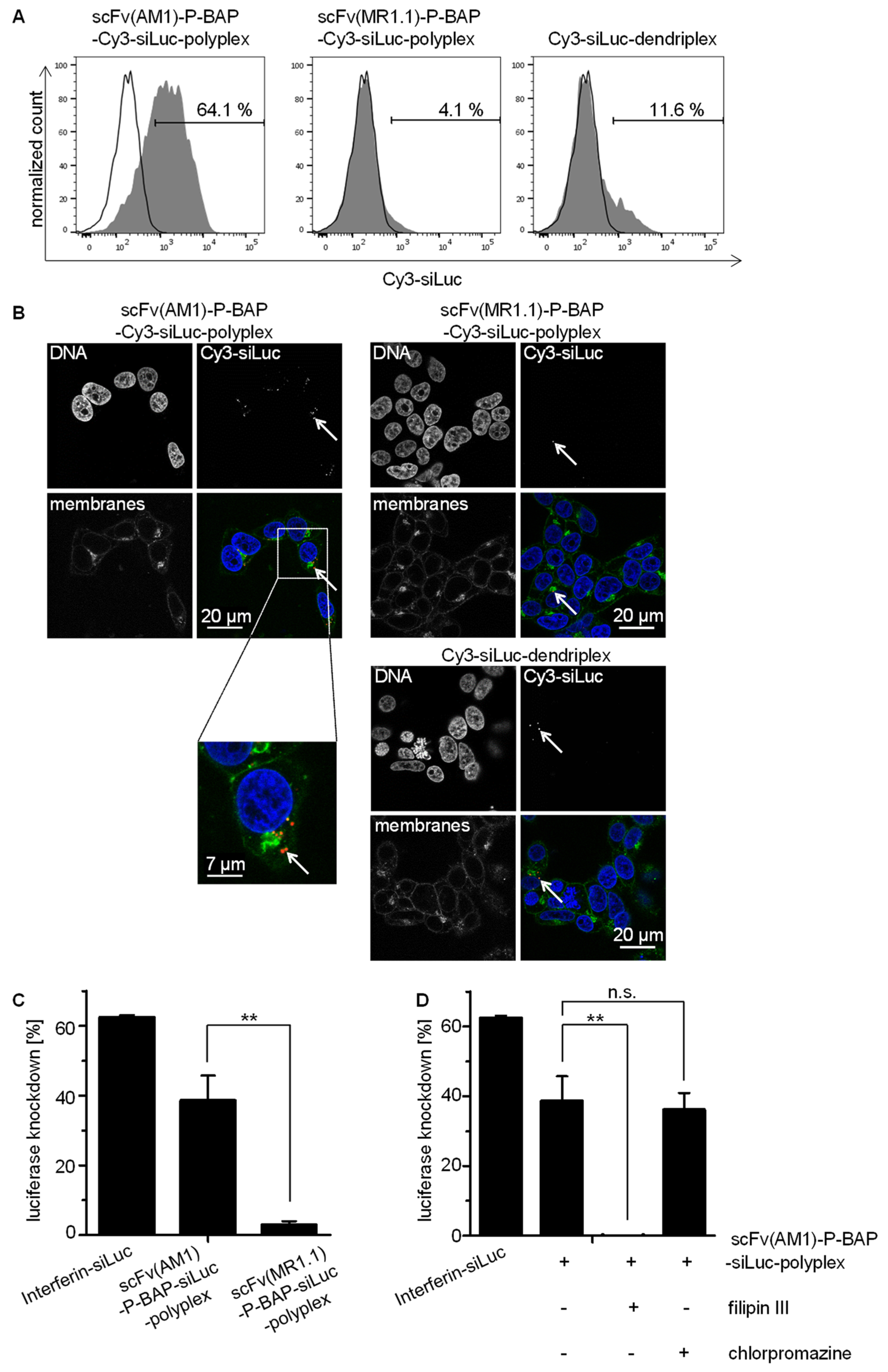 Pharmaceutics 13 00676 g003 Pharmaceutics 13 00676 g003