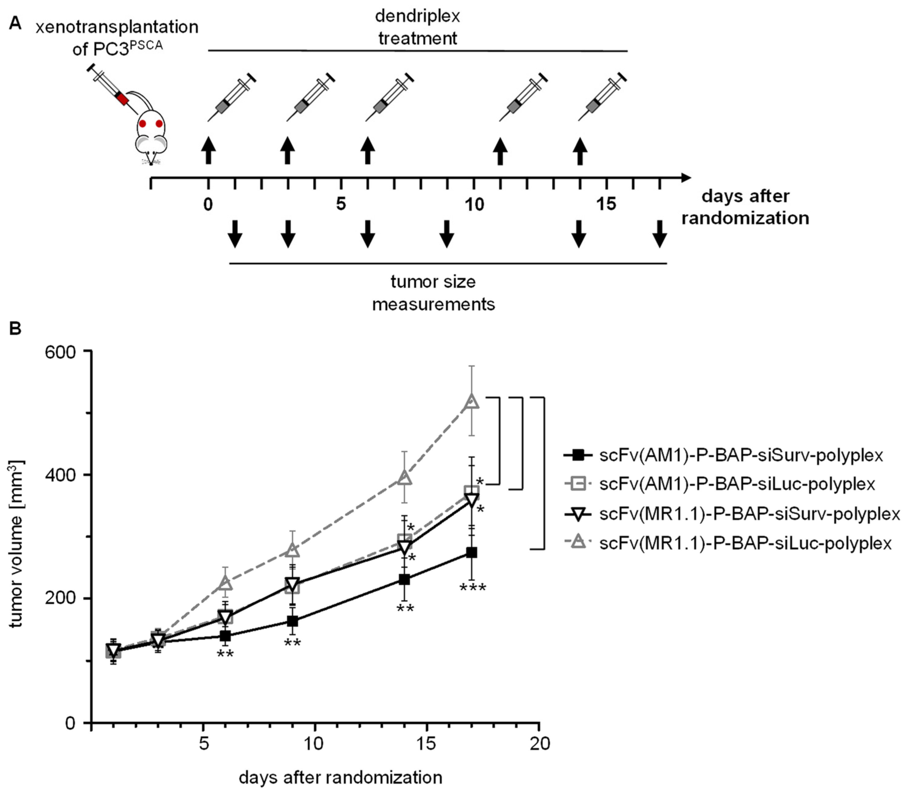 Pharmaceutics 13 00676 g004 Pharmaceutics 13 00676 g004