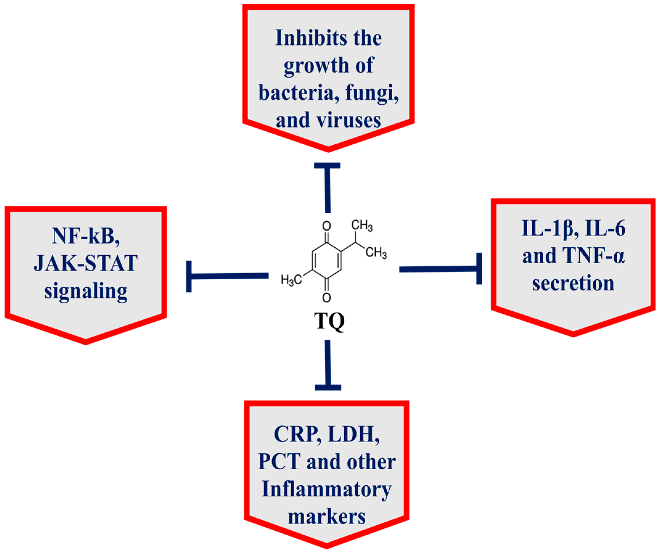 Pharmaceutics 13 00677 g001 Pharmaceutics 13 00677 g001