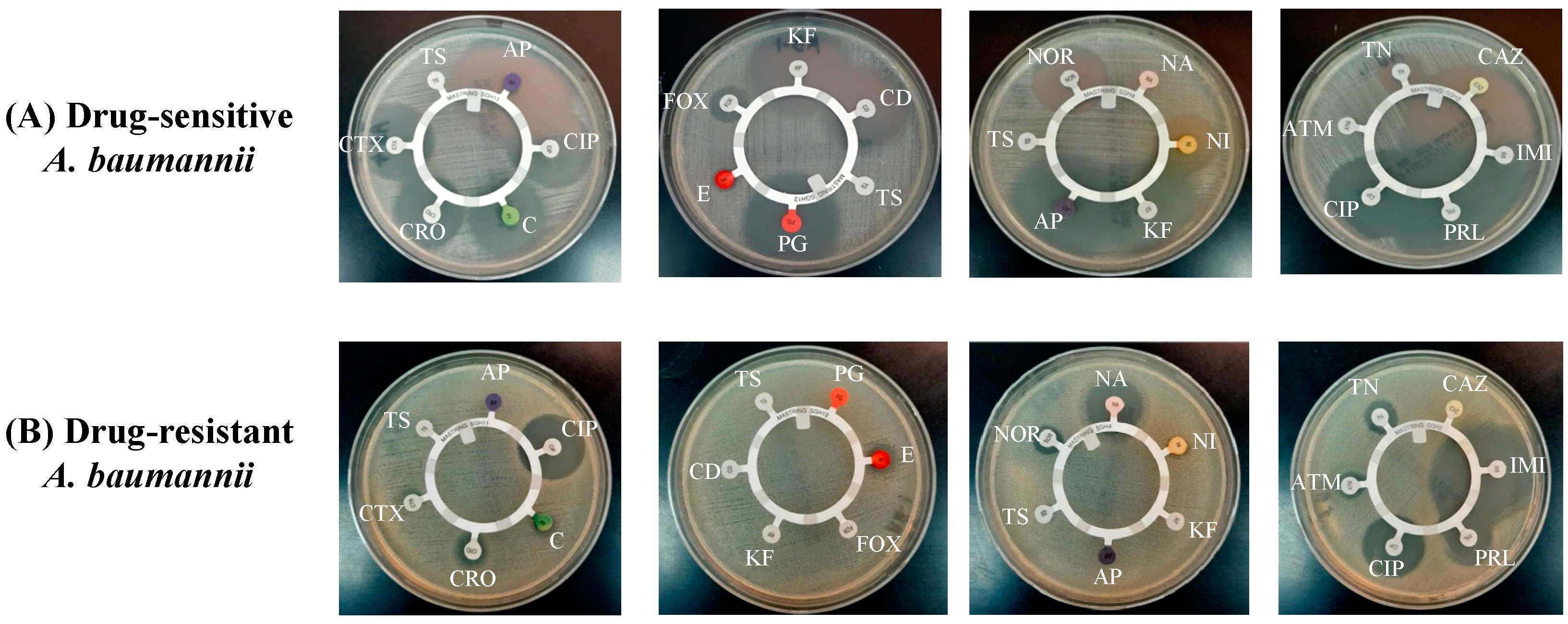 Pharmaceutics 13 00677 g002 Pharmaceutics 13 00677 g002