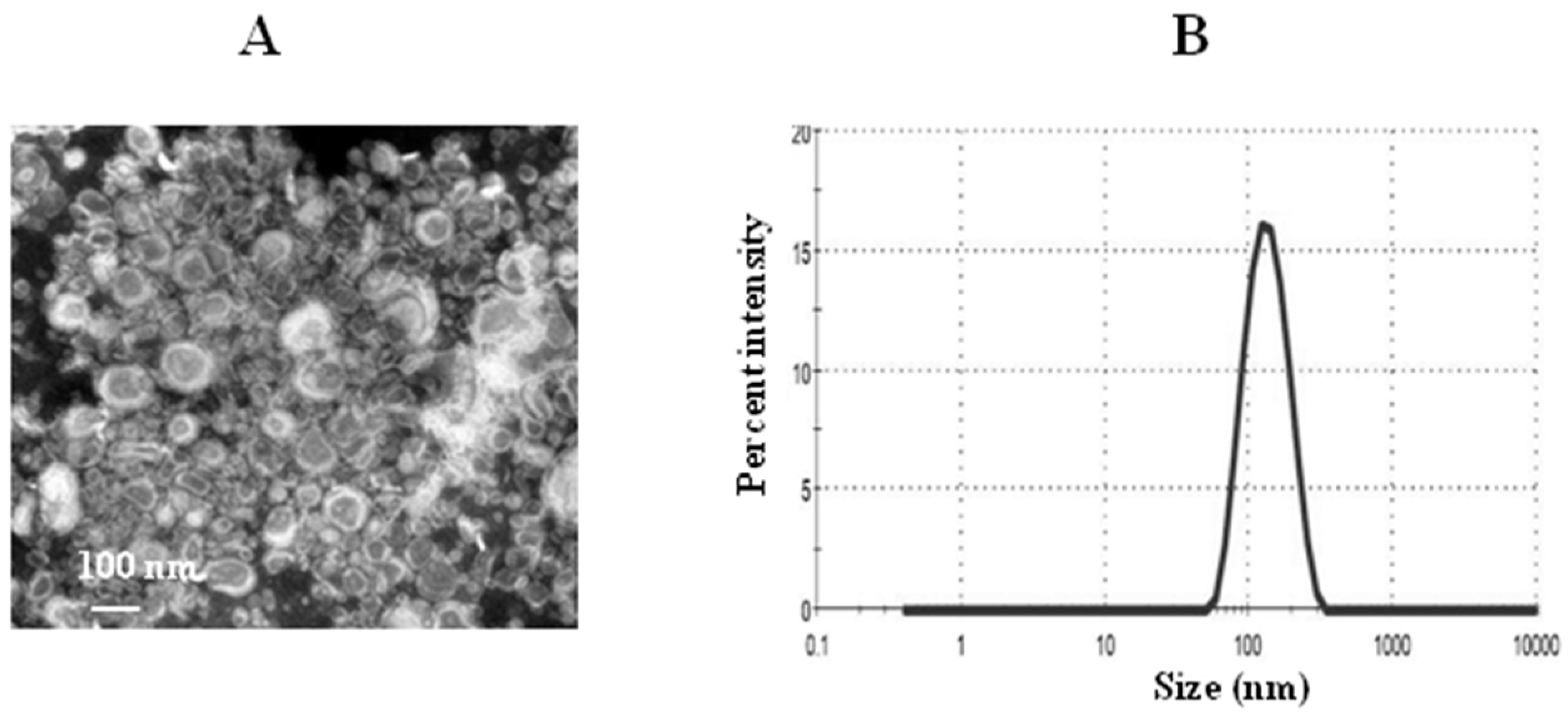 Pharmaceutics 13 00677 g006 Pharmaceutics 13 00677 g006
