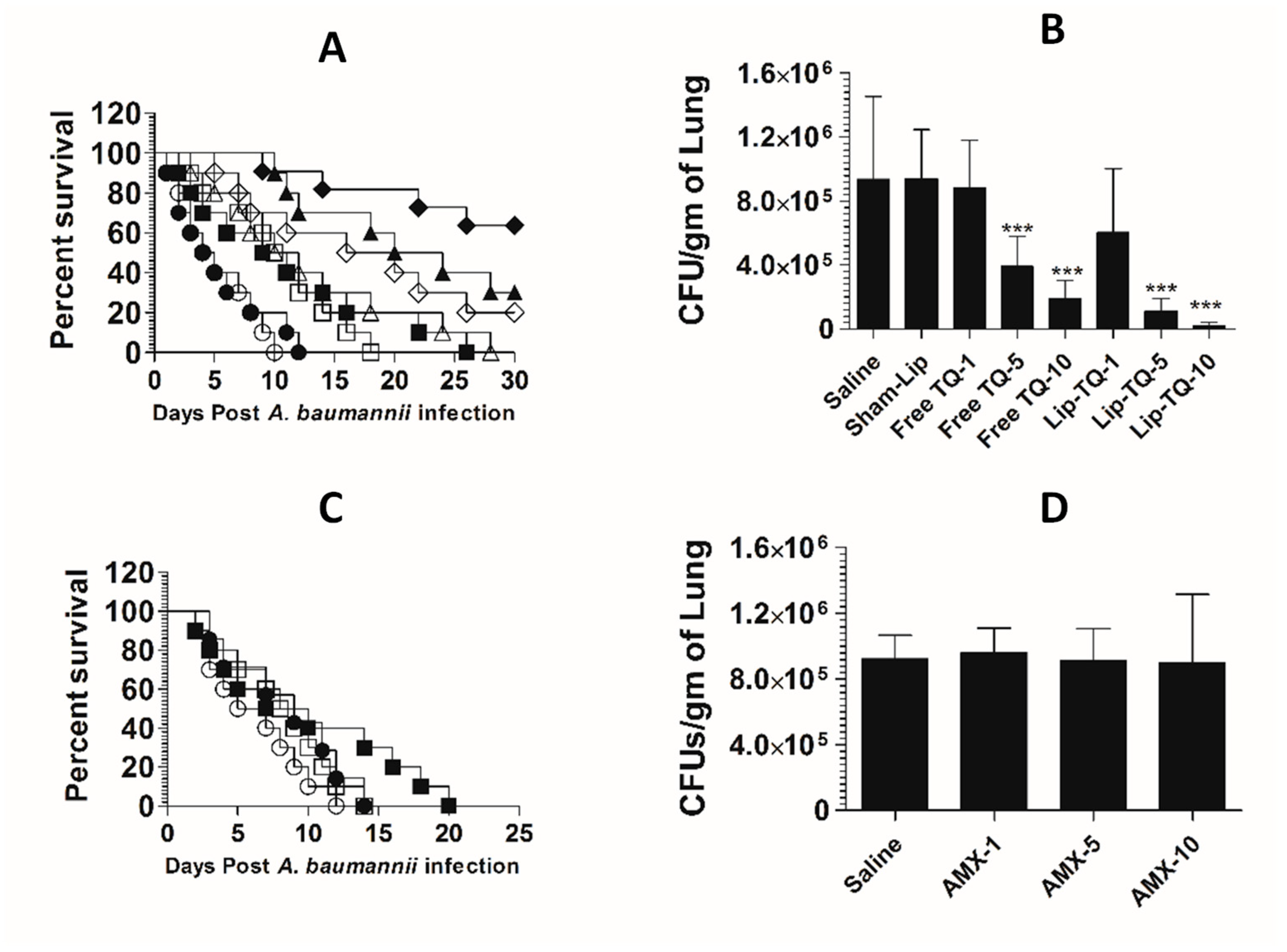 Pharmaceutics 13 00677 g009 Pharmaceutics 13 00677 g009