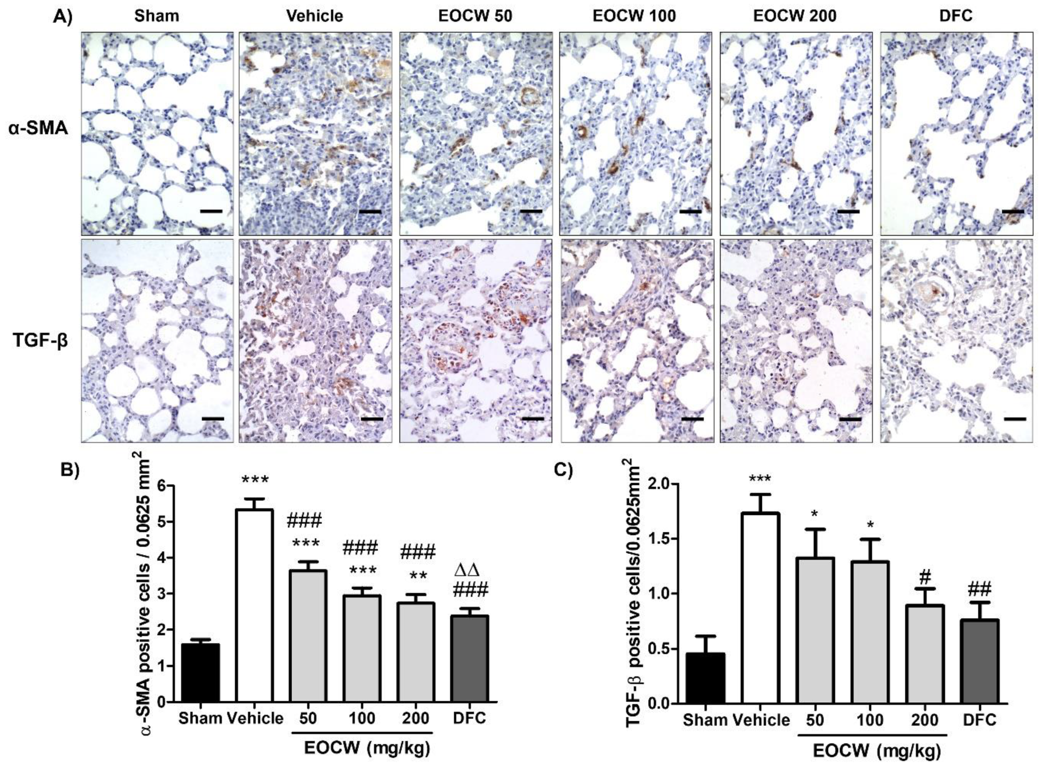 Pharmaceutics 13 00679 g004 Pharmaceutics 13 00679 g004