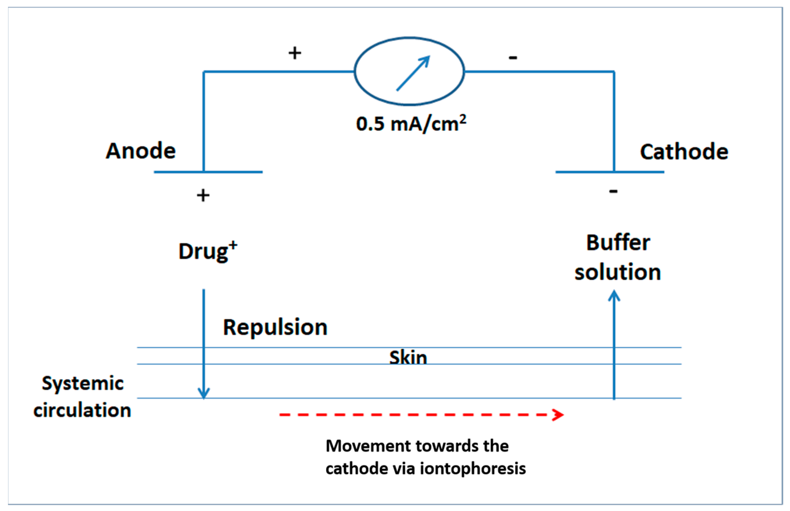 Pharmaceutics 13 00682 g001 Pharmaceutics 13 00682 g001