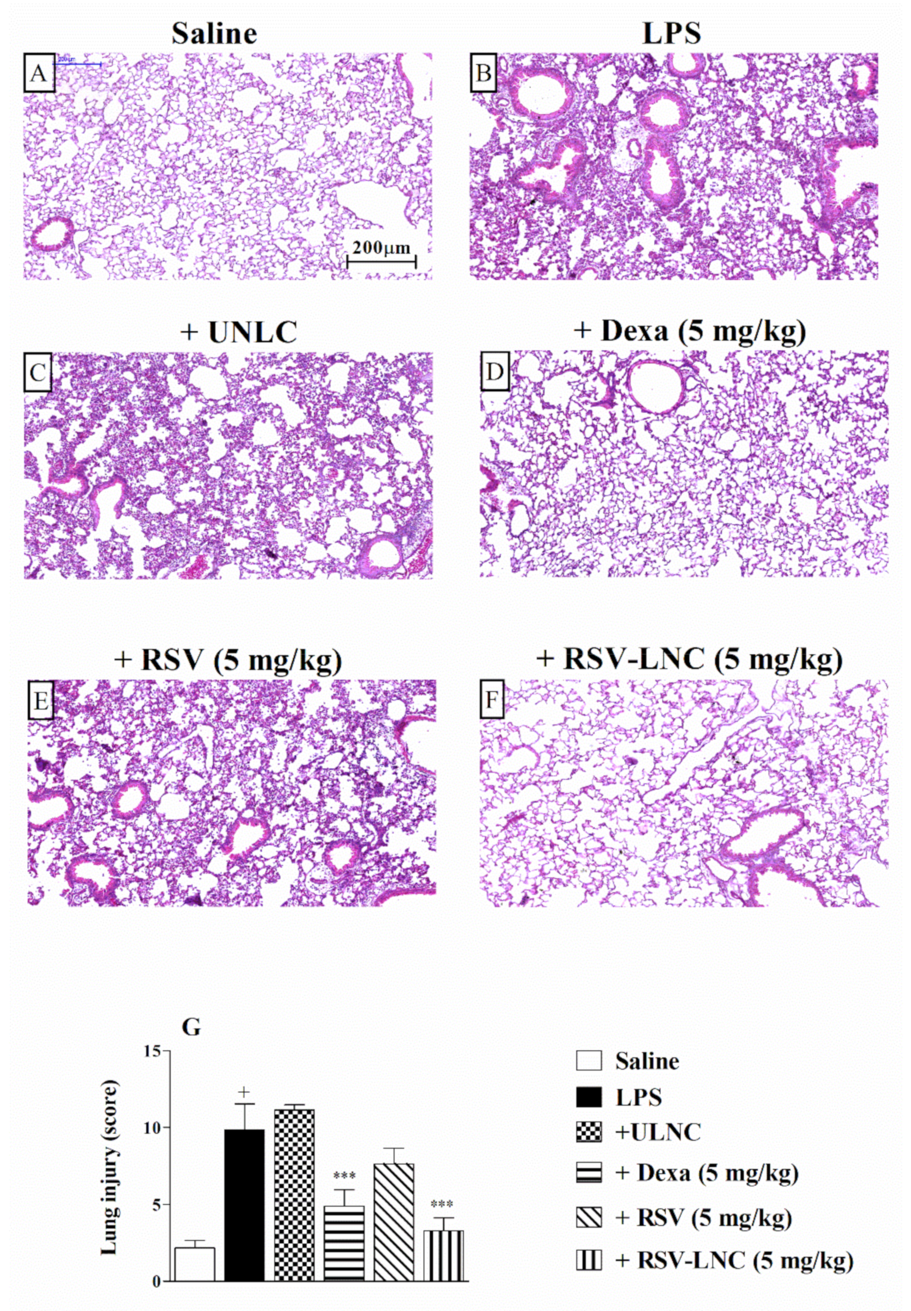 Pharmaceutics 13 00683 g002 550