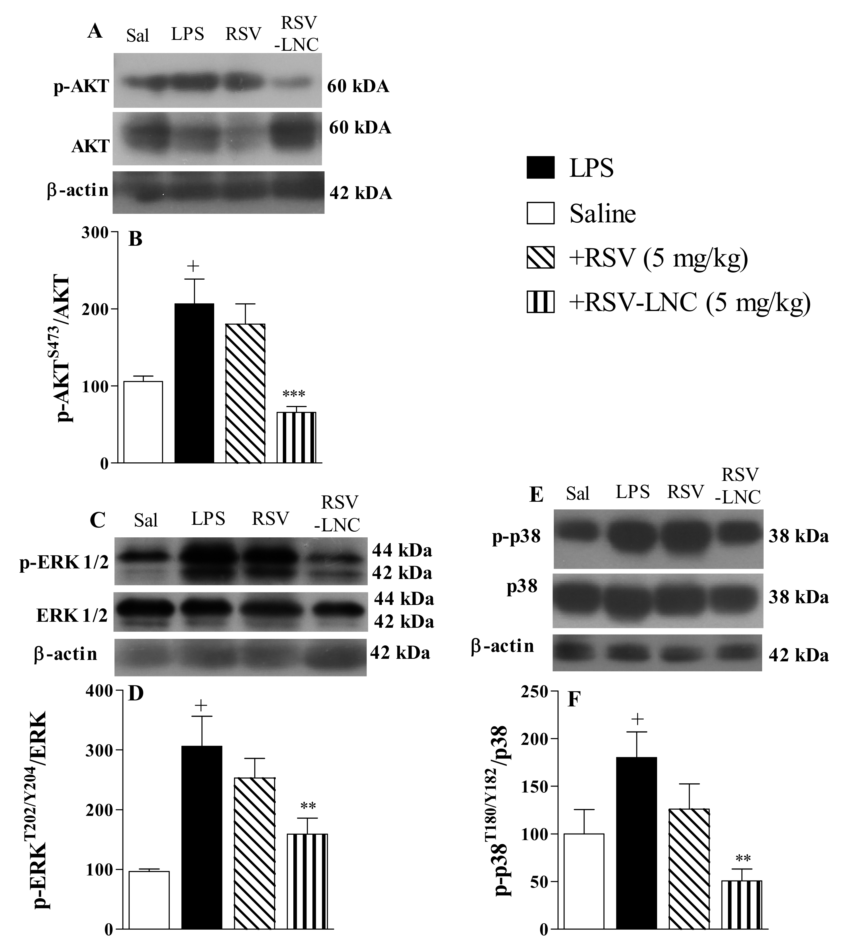 Pharmaceutics 13 00683 g004 550