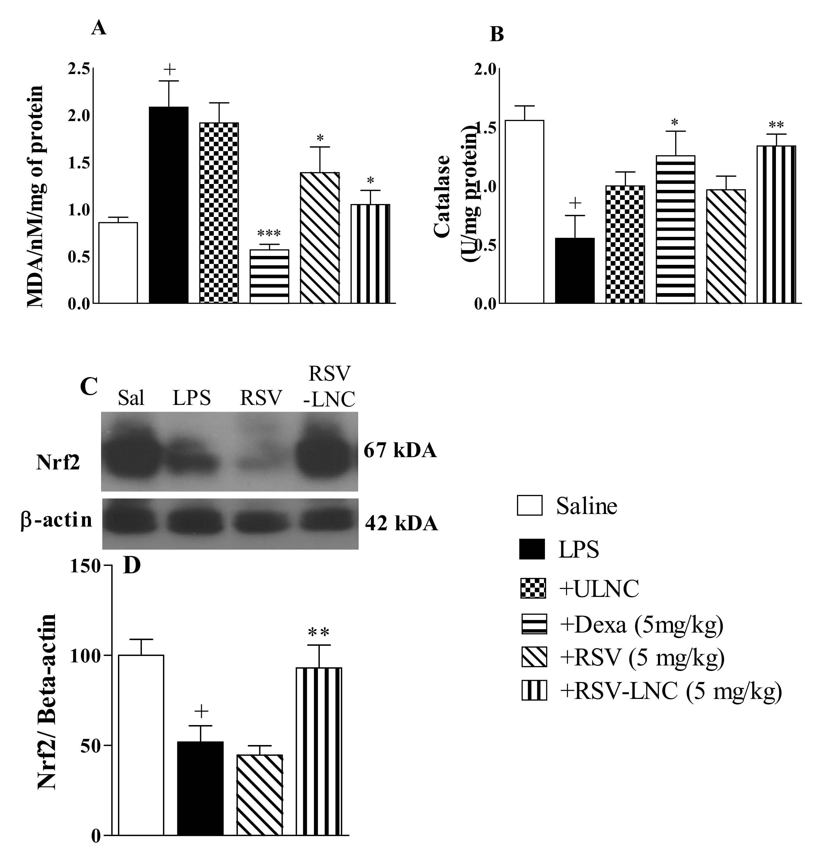 Pharmaceutics 13 00683 g005 550