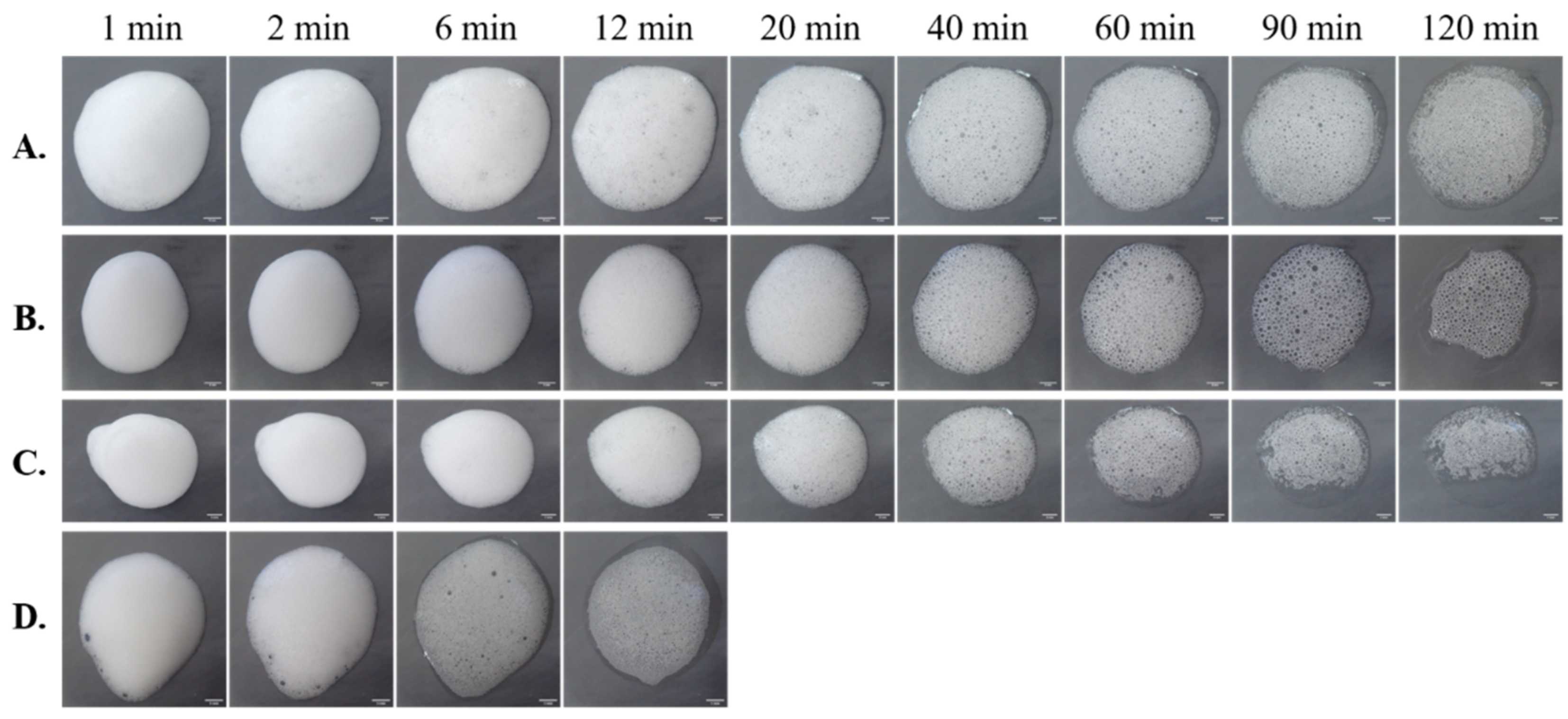 Pharmaceutics 13 00685 g005