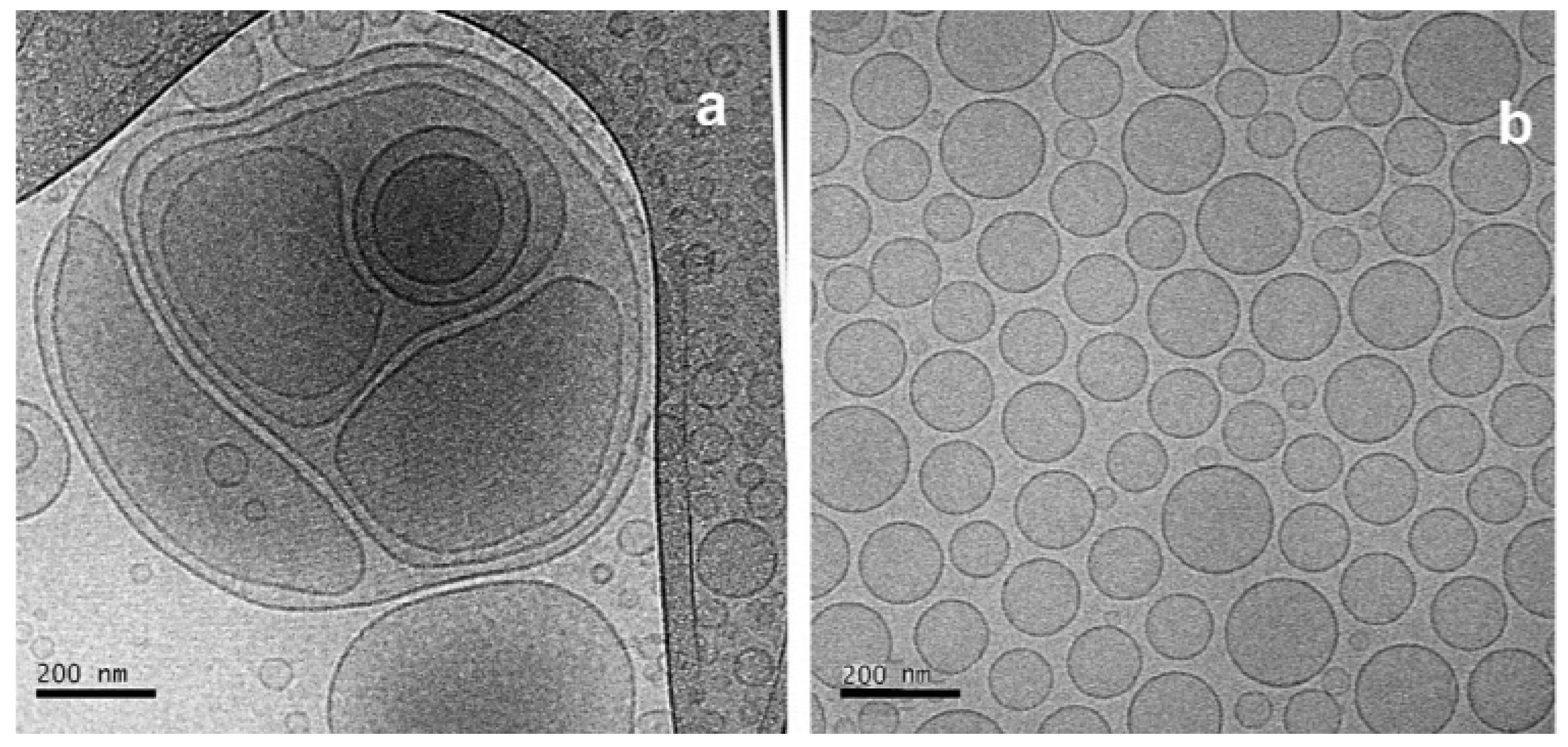 Pharmaceutics 13 00686 g009