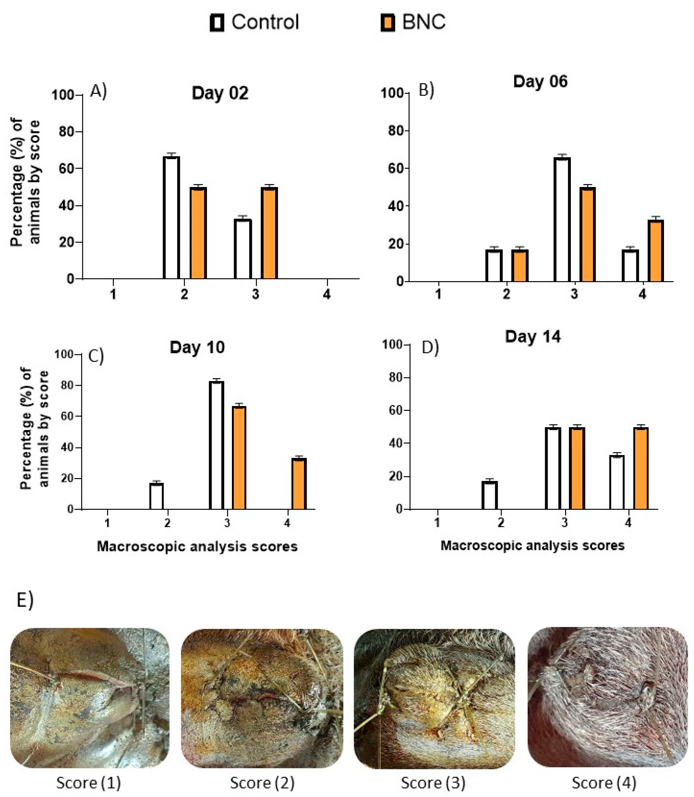 Pharmaceutics 13 00688 g001