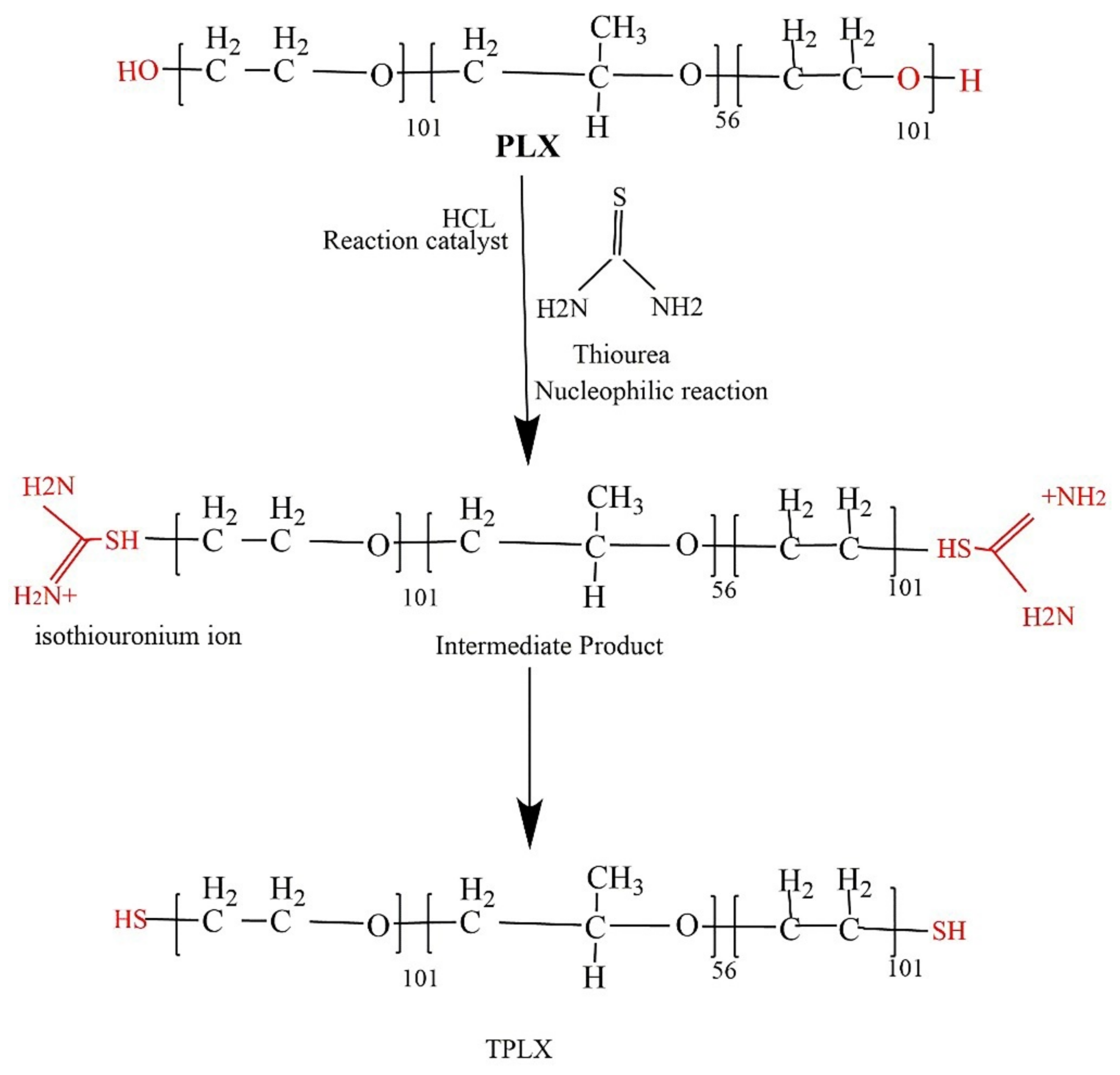 Pharmaceutics 13 00693 g001