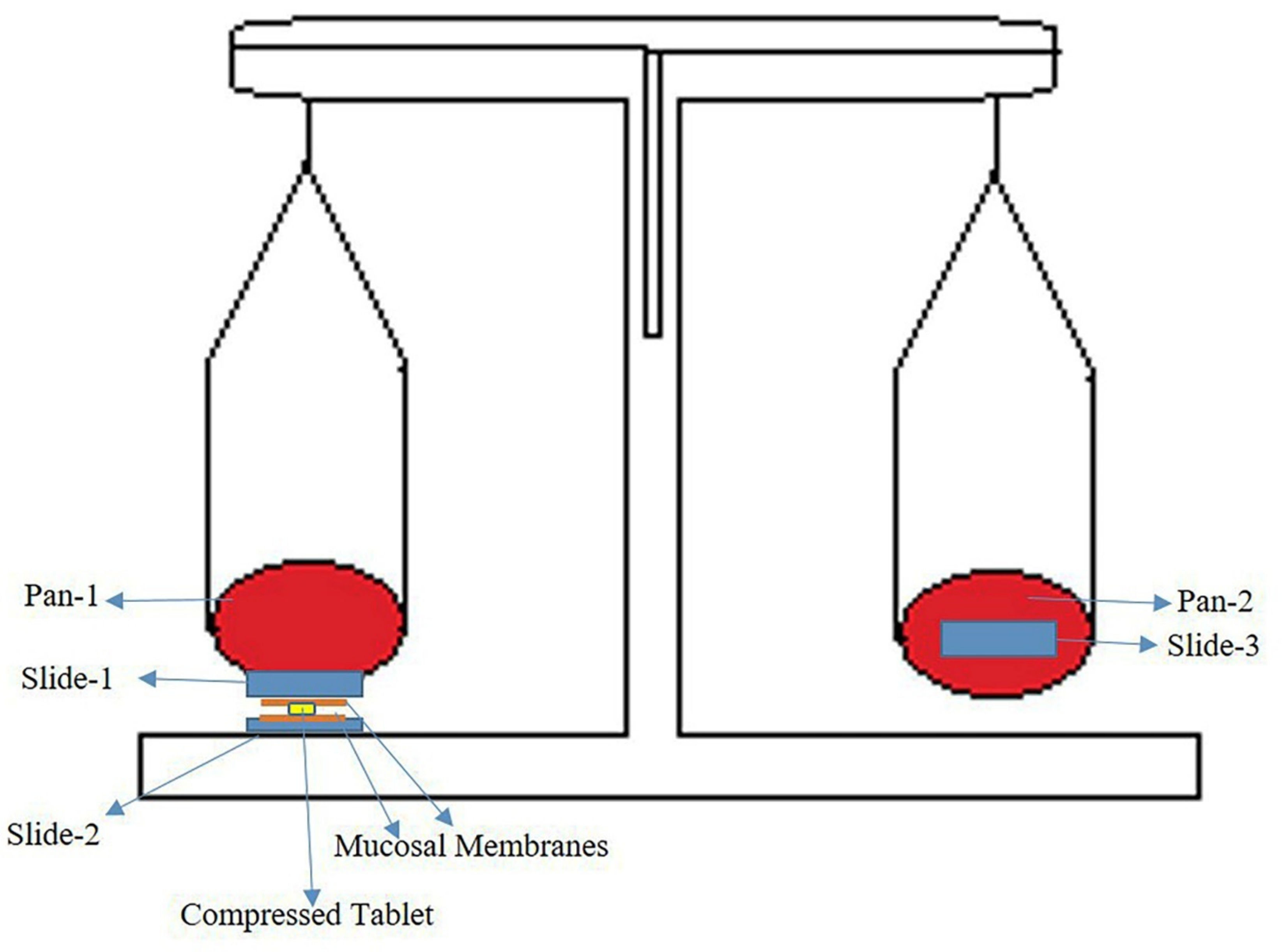 Pharmaceutics 13 00693 g002
