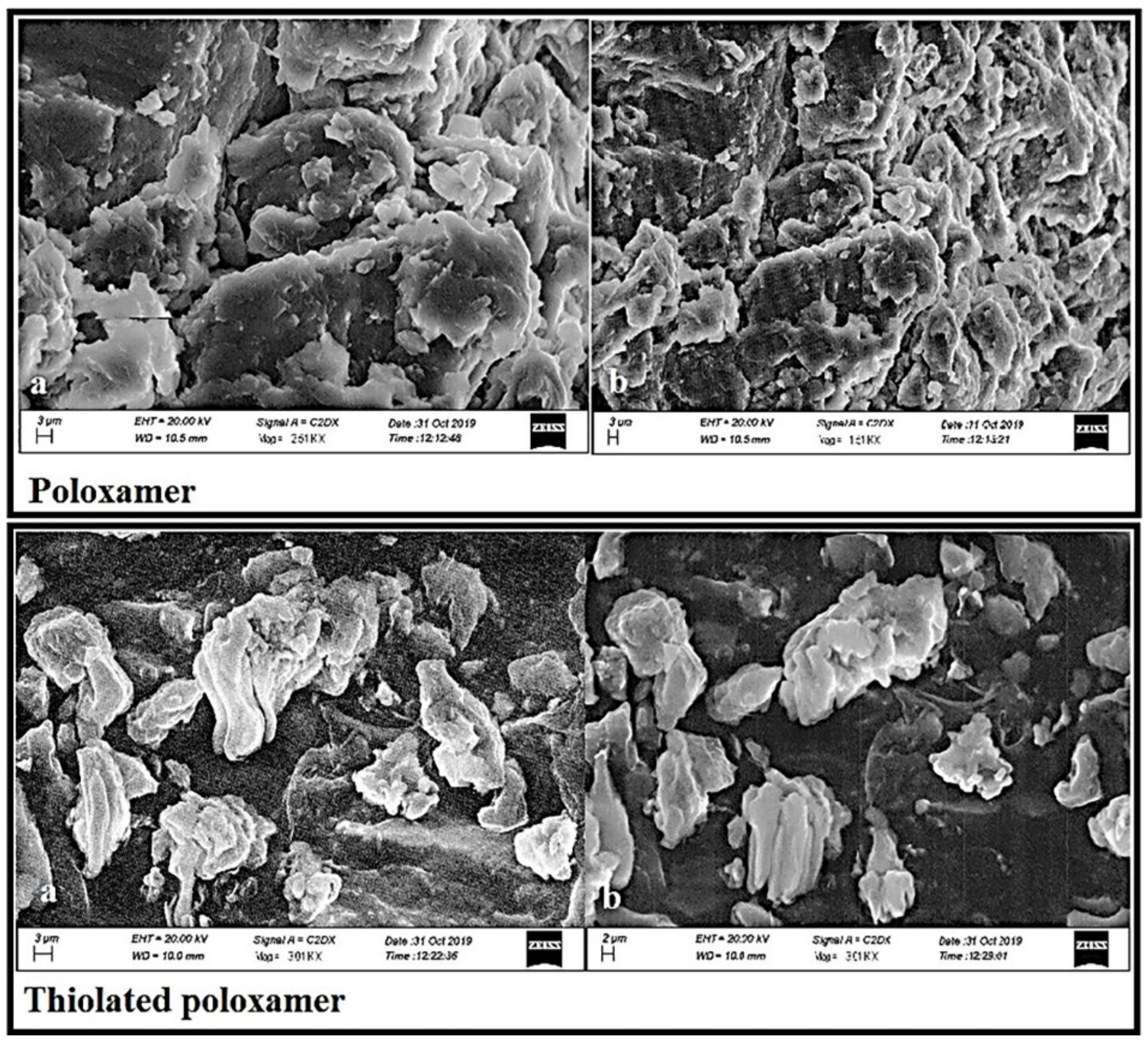 Pharmaceutics 13 00693 g004