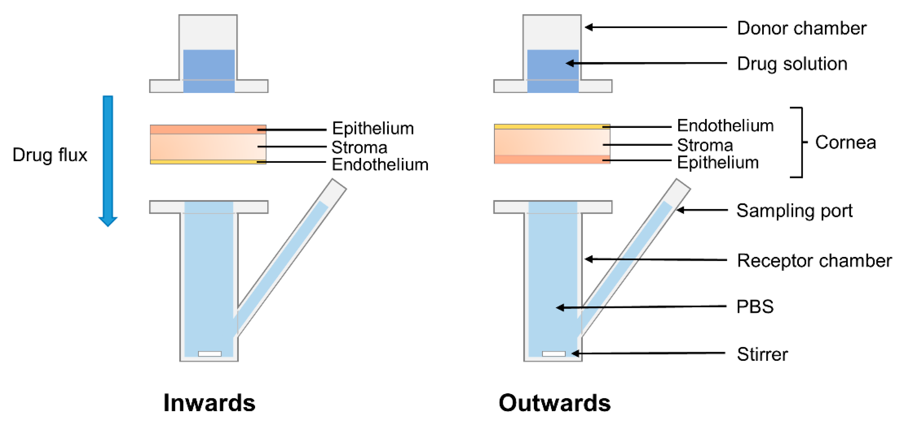 Pharmaceutics 13 00694 g003 Pharmaceutics 13 00694 g003