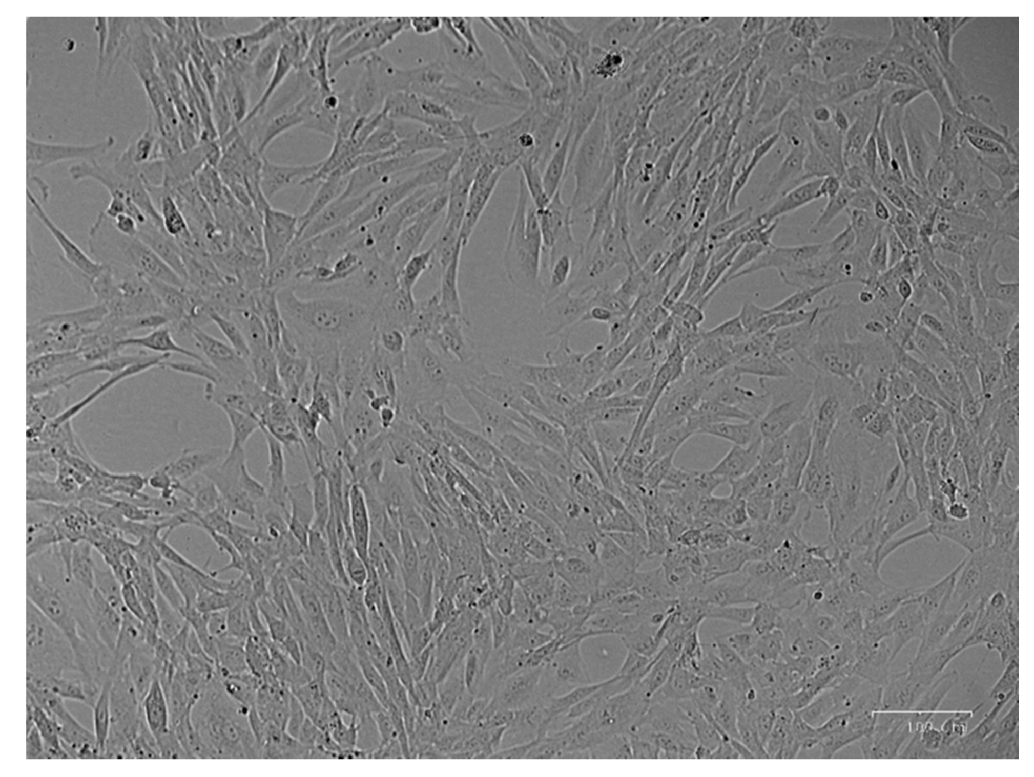 Pharmaceutics 13 00696 g001 Pharmaceutics 13 00696 g001