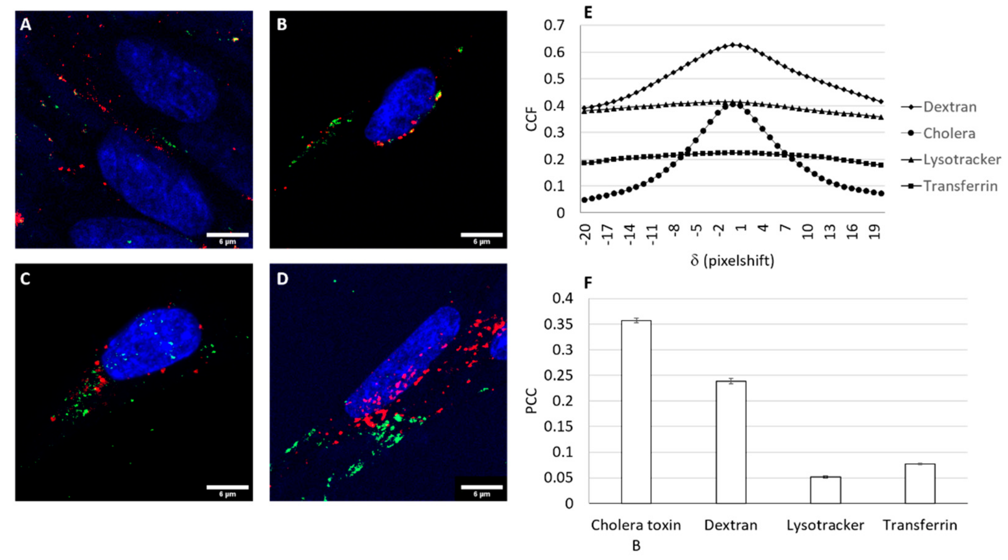 Pharmaceutics 13 00696 g005 Pharmaceutics 13 00696 g005