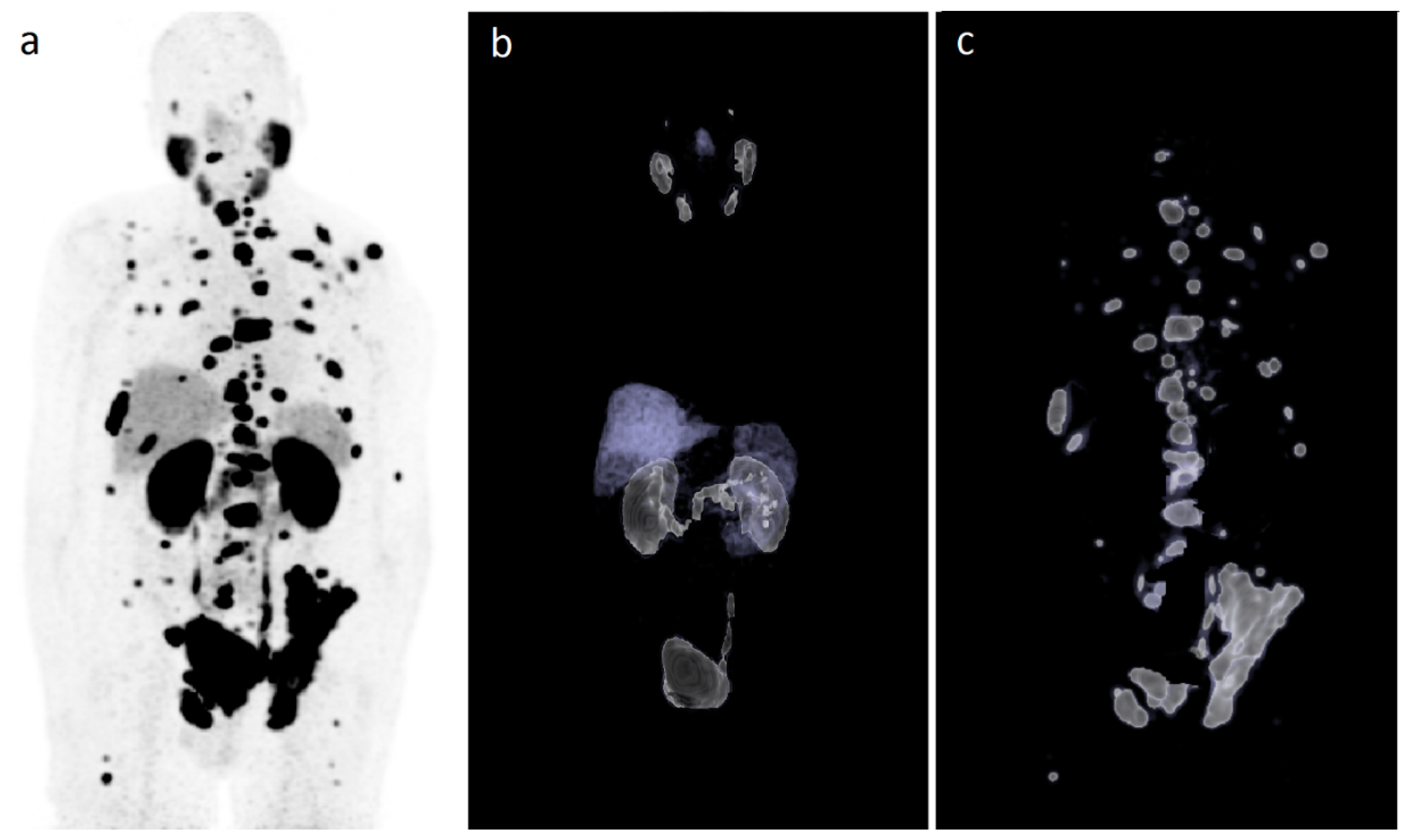 Pharmaceutics 13 00699 g002