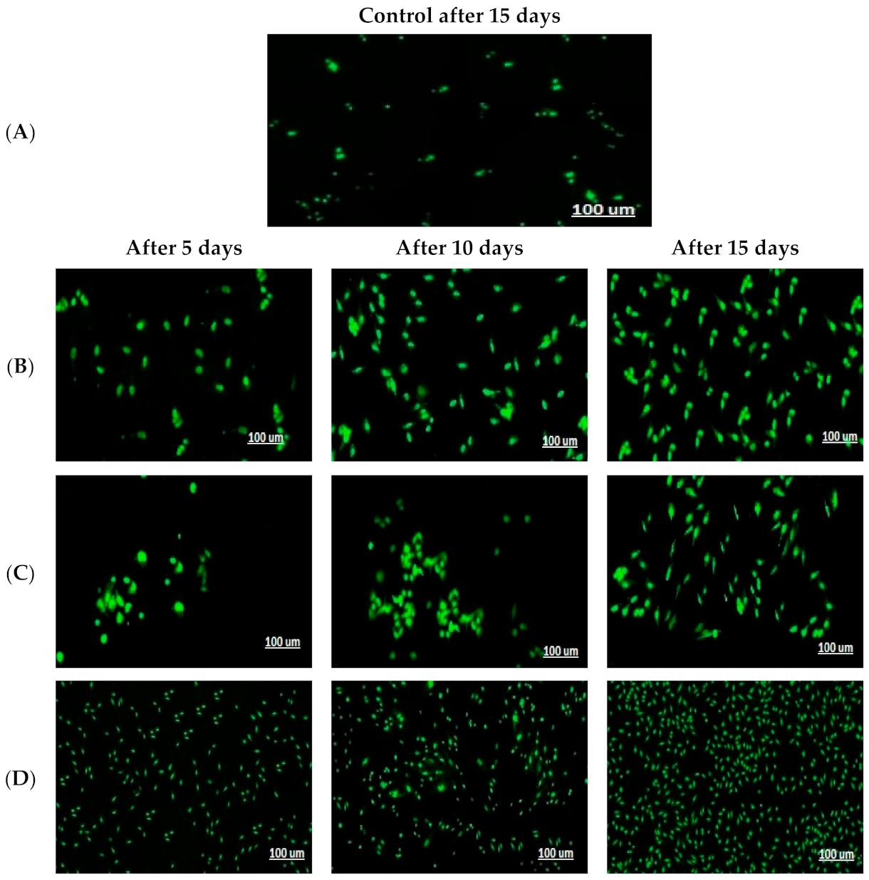 Pharmaceutics 13 00700 g006 Pharmaceutics 13 00700 g006