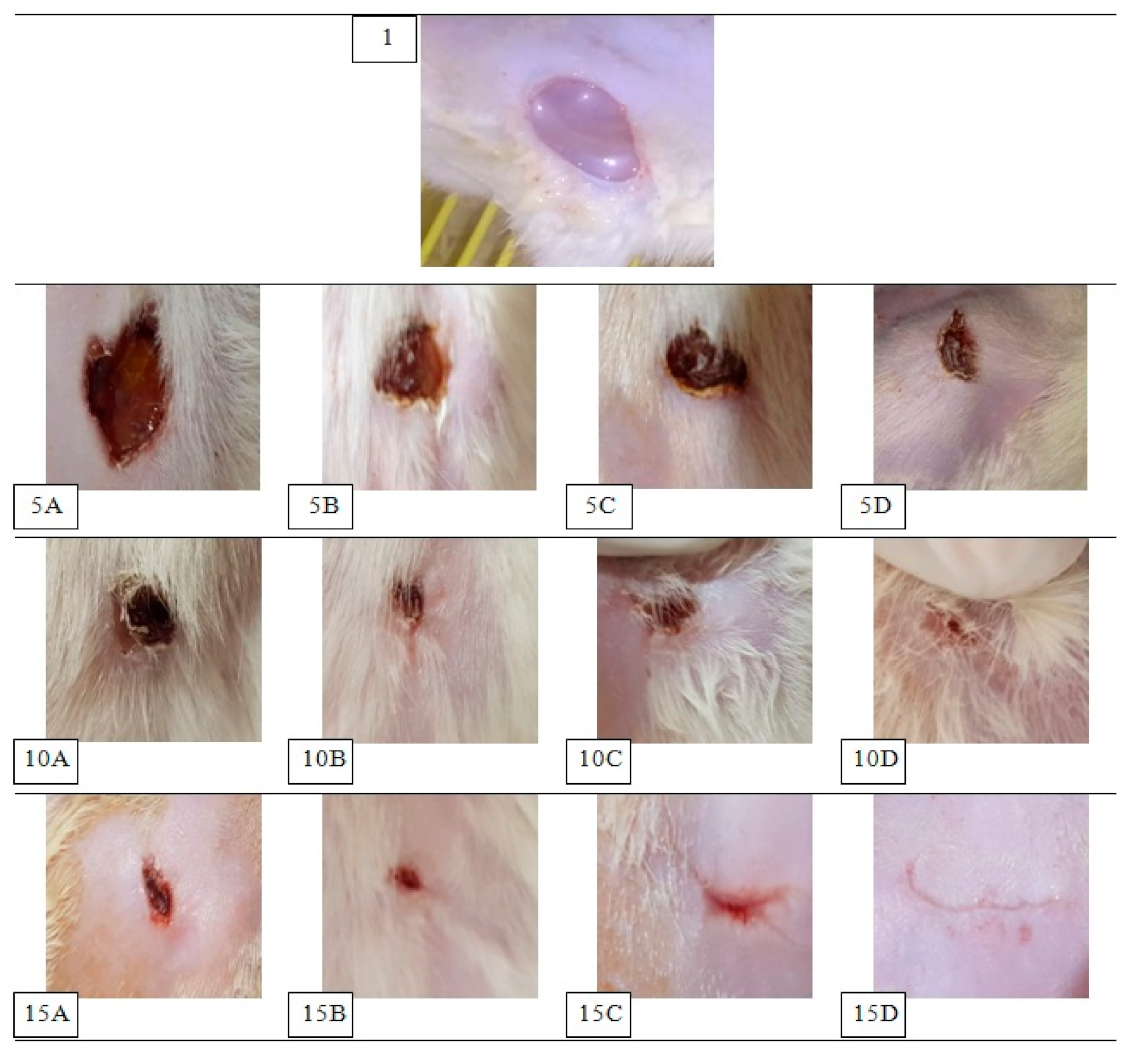Pharmaceutics 13 00700 g008 Pharmaceutics 13 00700 g008