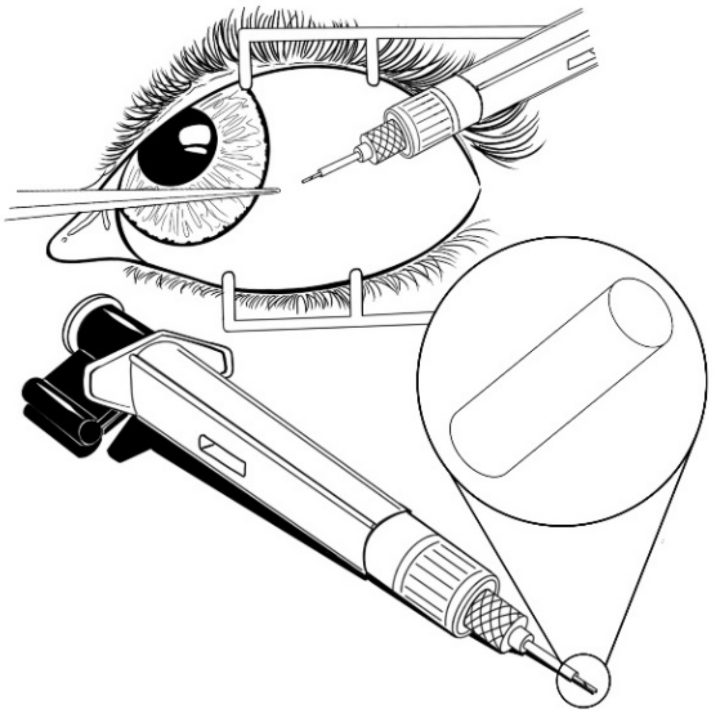 Pharmaceutics 13 00701 g009 Pharmaceutics 13 00701 g009