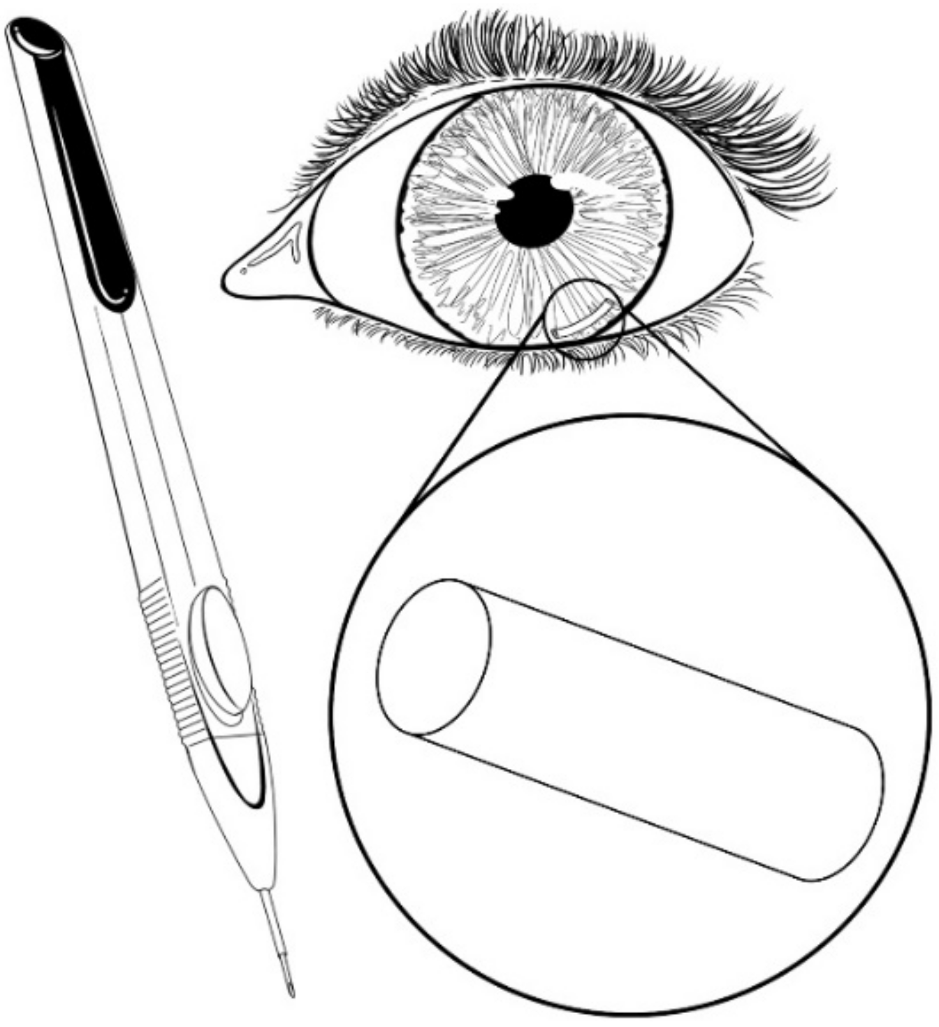 Pharmaceutics 13 00701 g011 Pharmaceutics 13 00701 g011